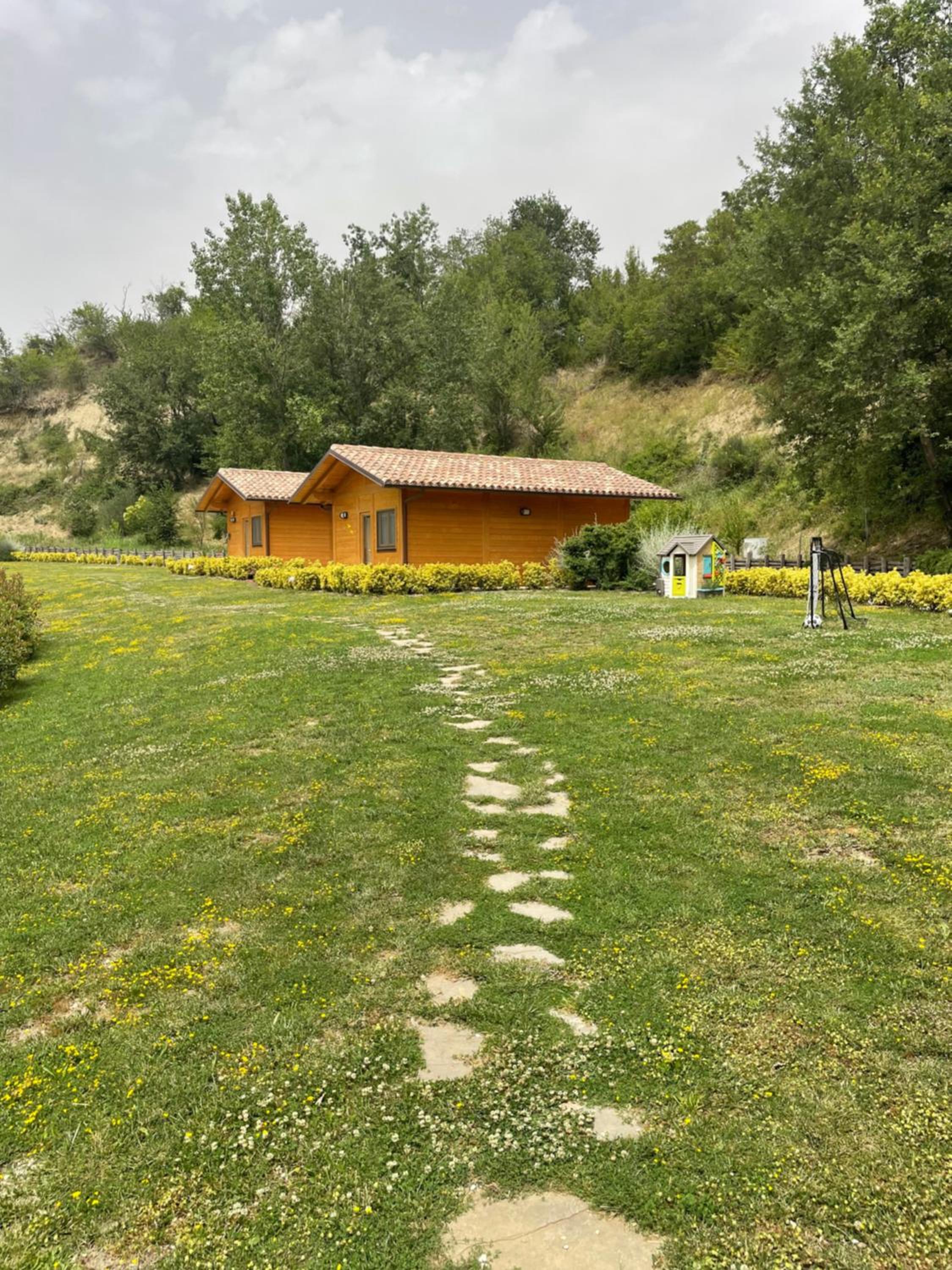 Colleolivi