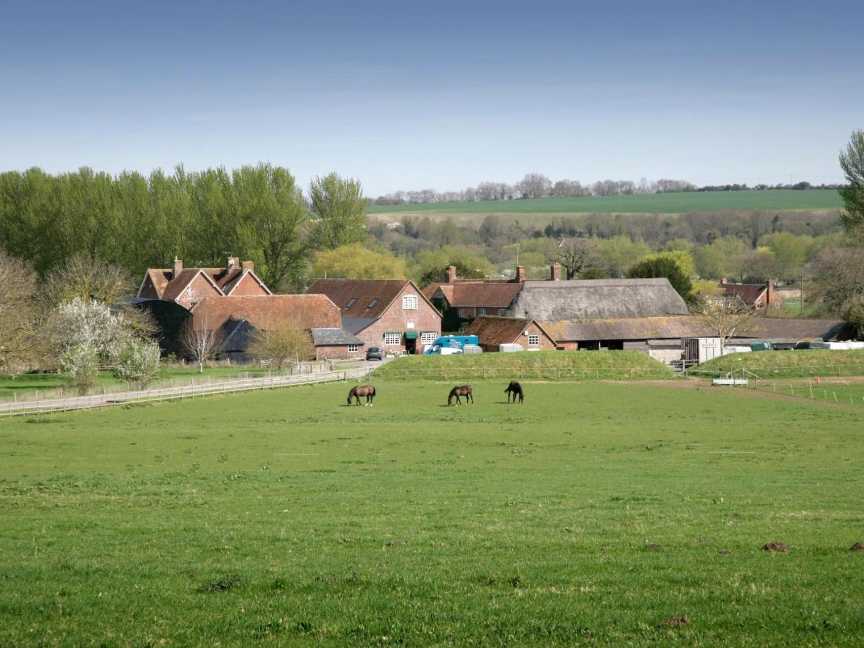 The Old Stables view 4