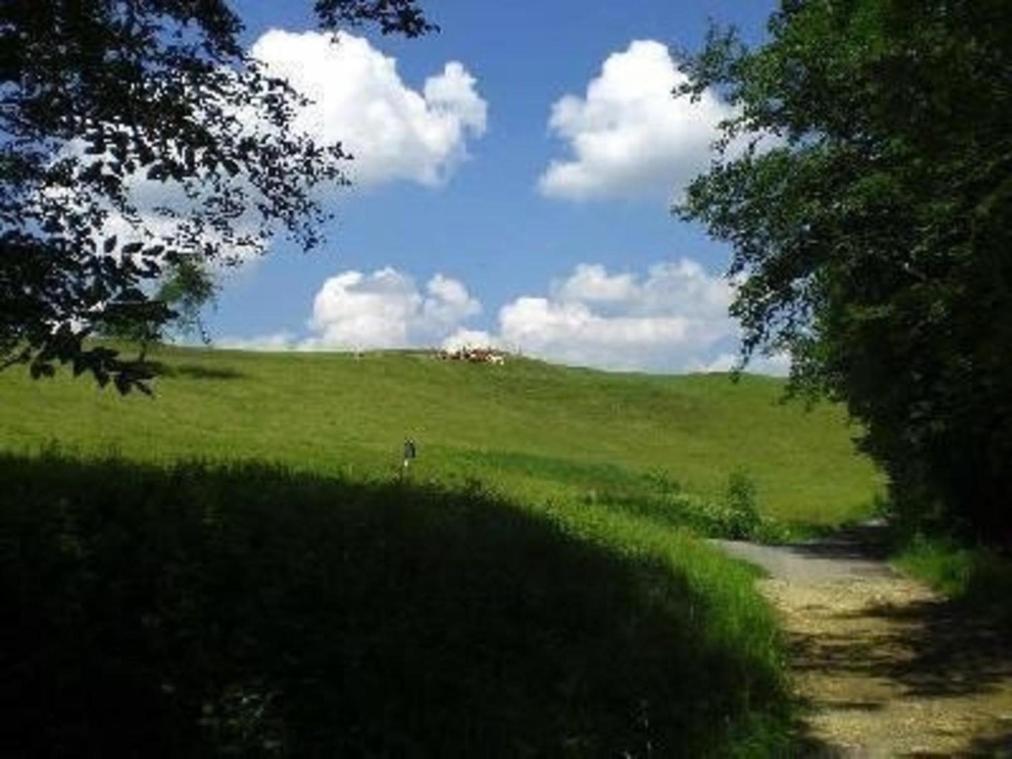 Das Blaue Haus in Hohenweiler