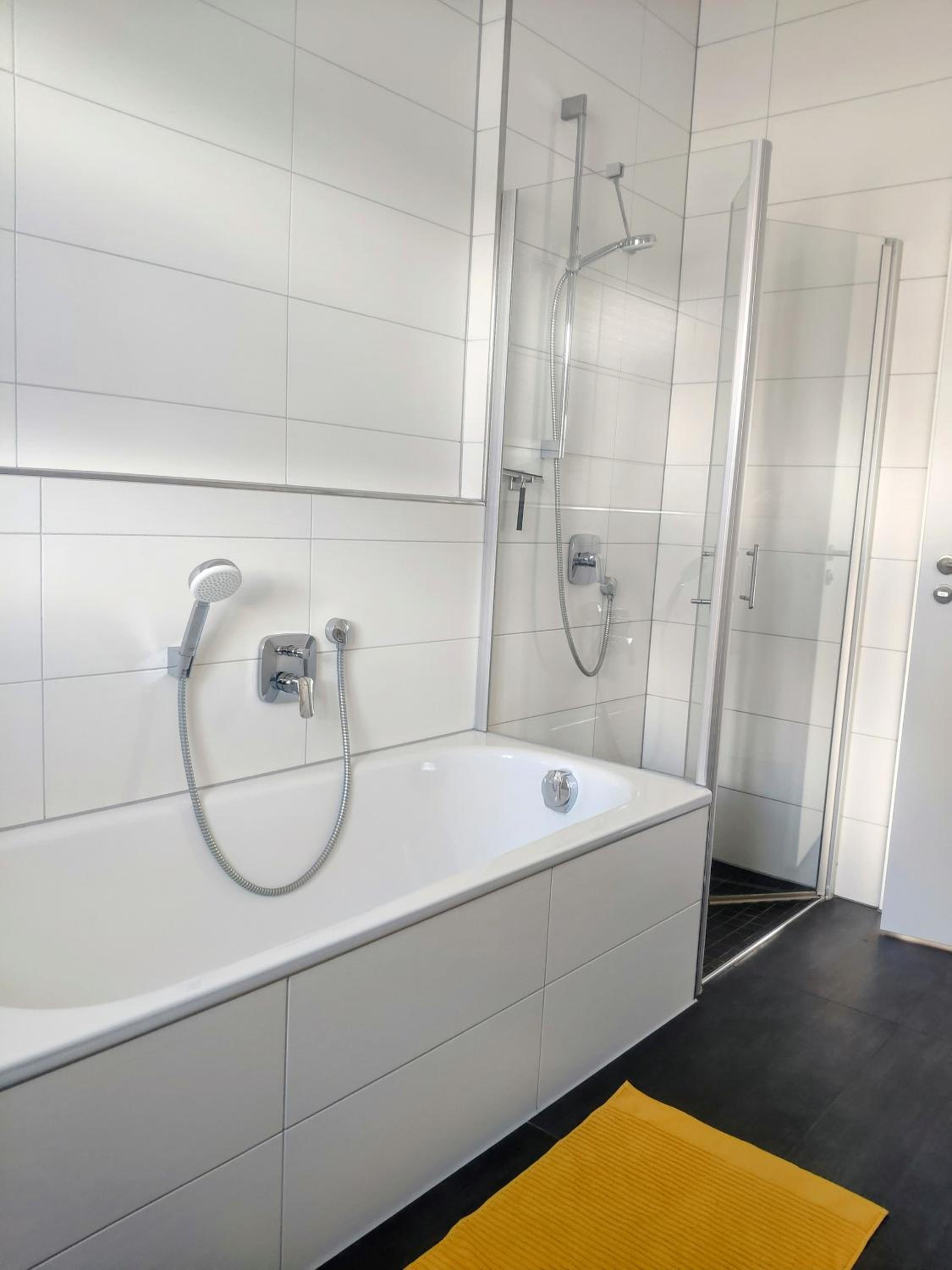 Schwarzwald Lahr Europapark Penthouse Sunshine