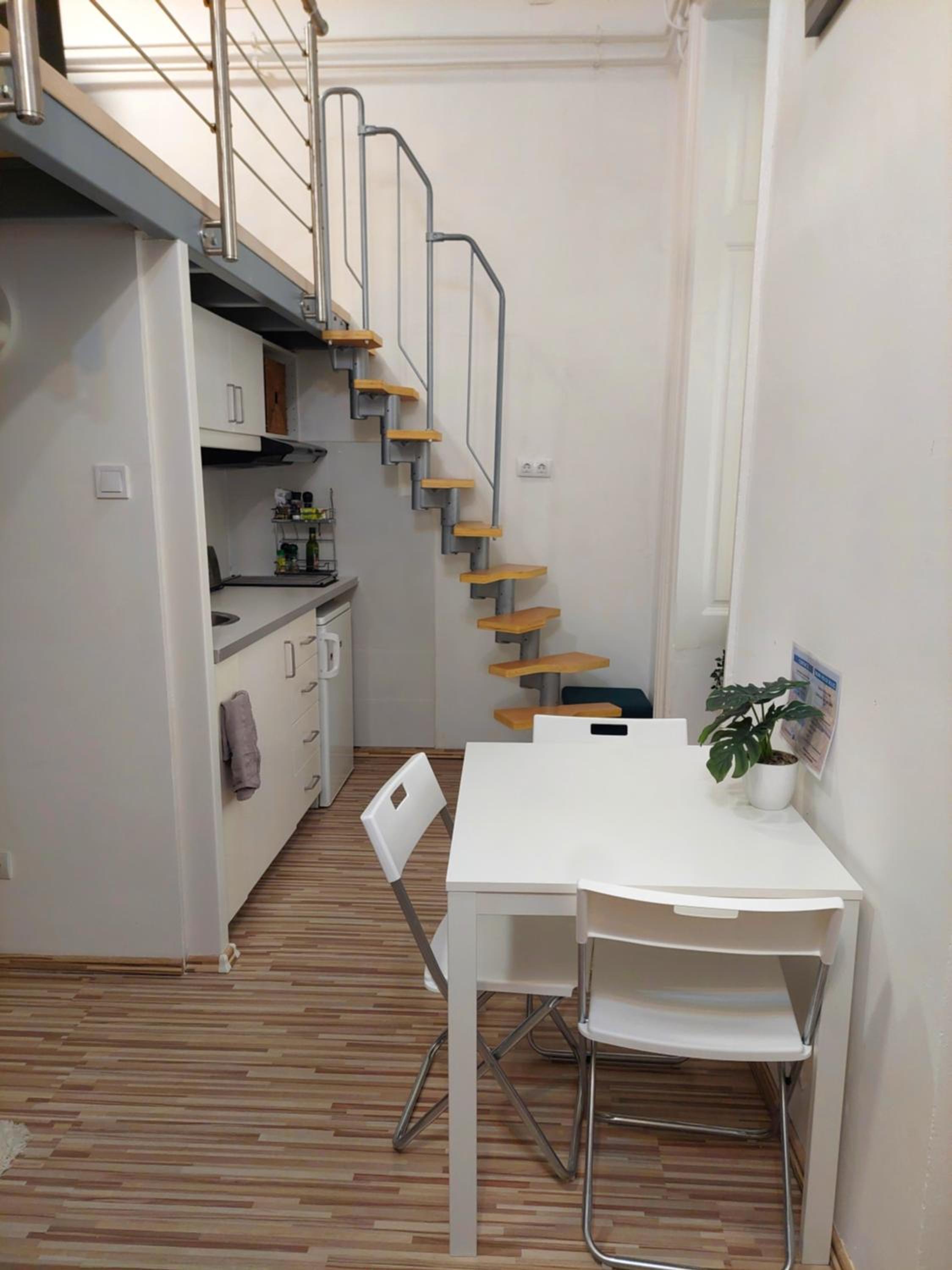Stanka's studio close to Opera view 3