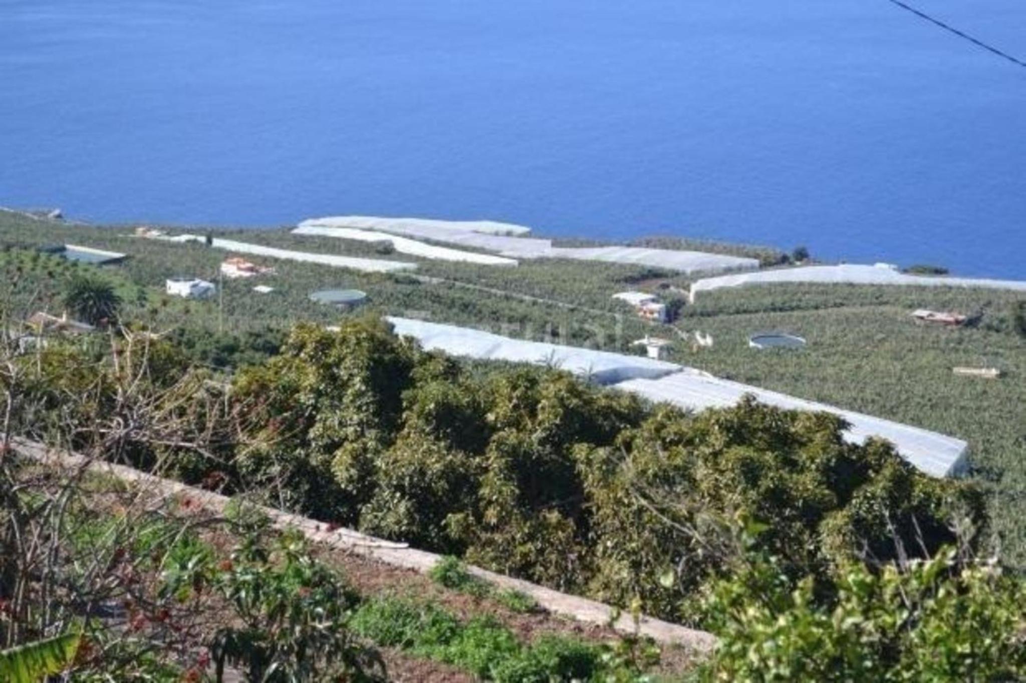 Ecofinca