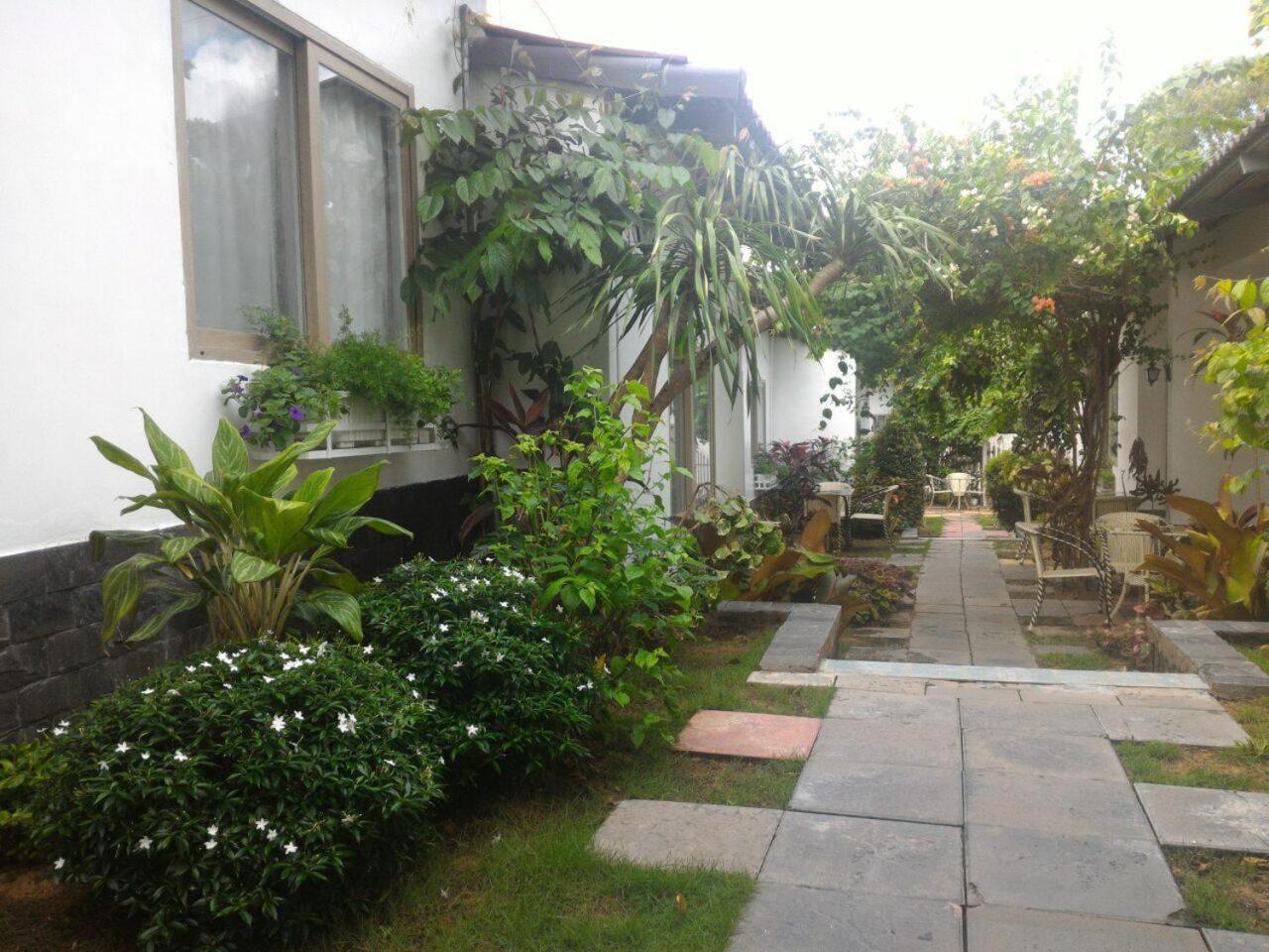 Photo 45