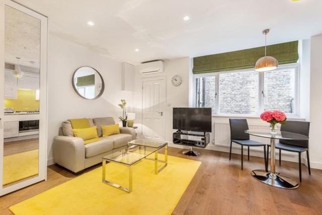 Marylebone - Crawford Street by Viridian Apartments