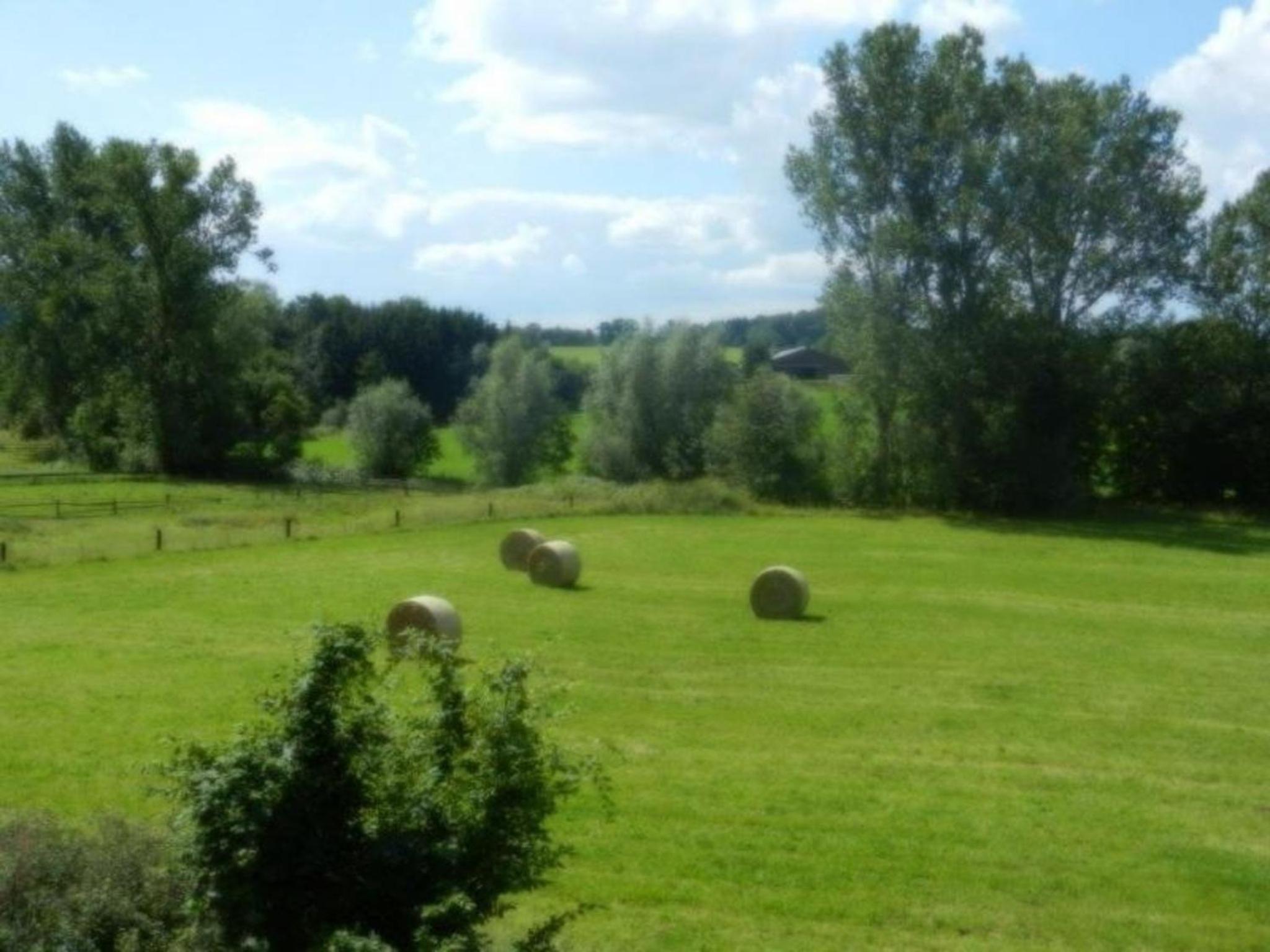 Ferienwohnung im Teutoburger Wald - Property Image 14