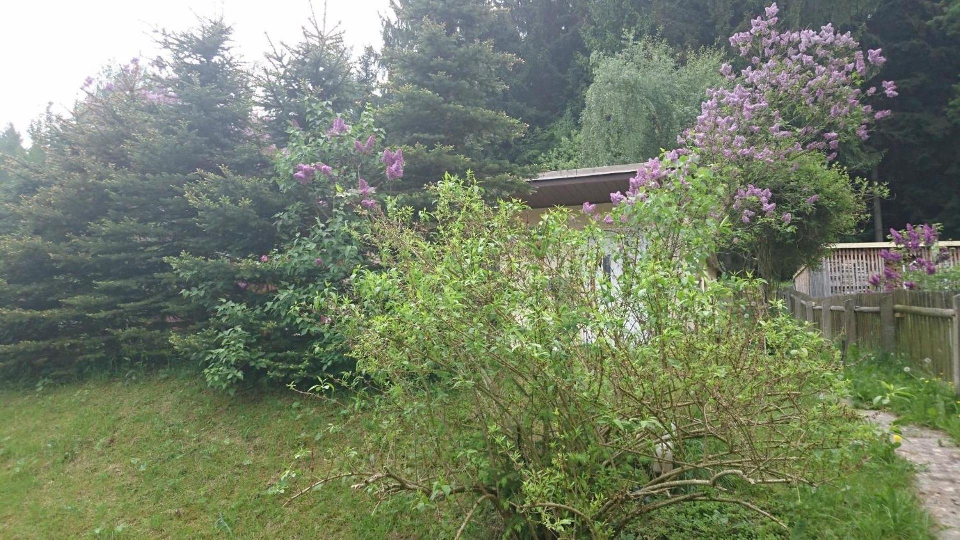 Gemütlich und modern eingerichtetes Ferienhaus mit Terrasse im Herzen des Erzgebirges