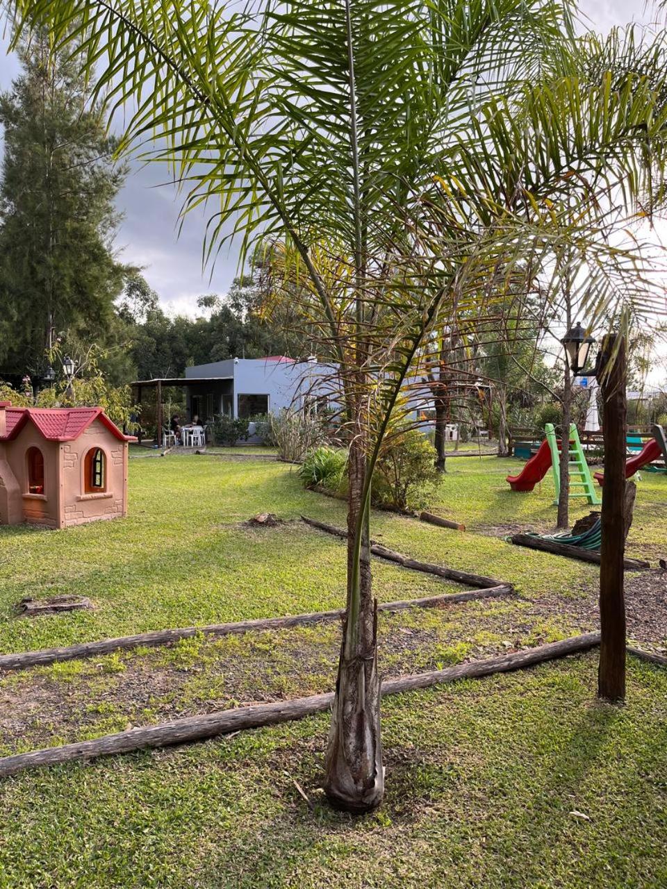 Aratiri Cabañas, Un Lugar En El Bosque..