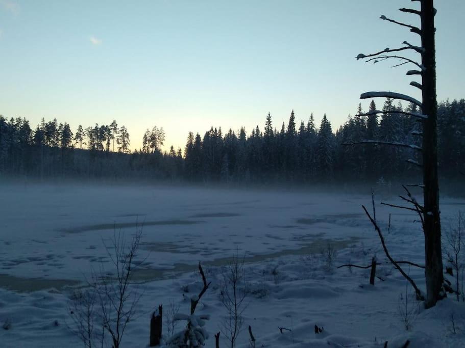 Photo 20