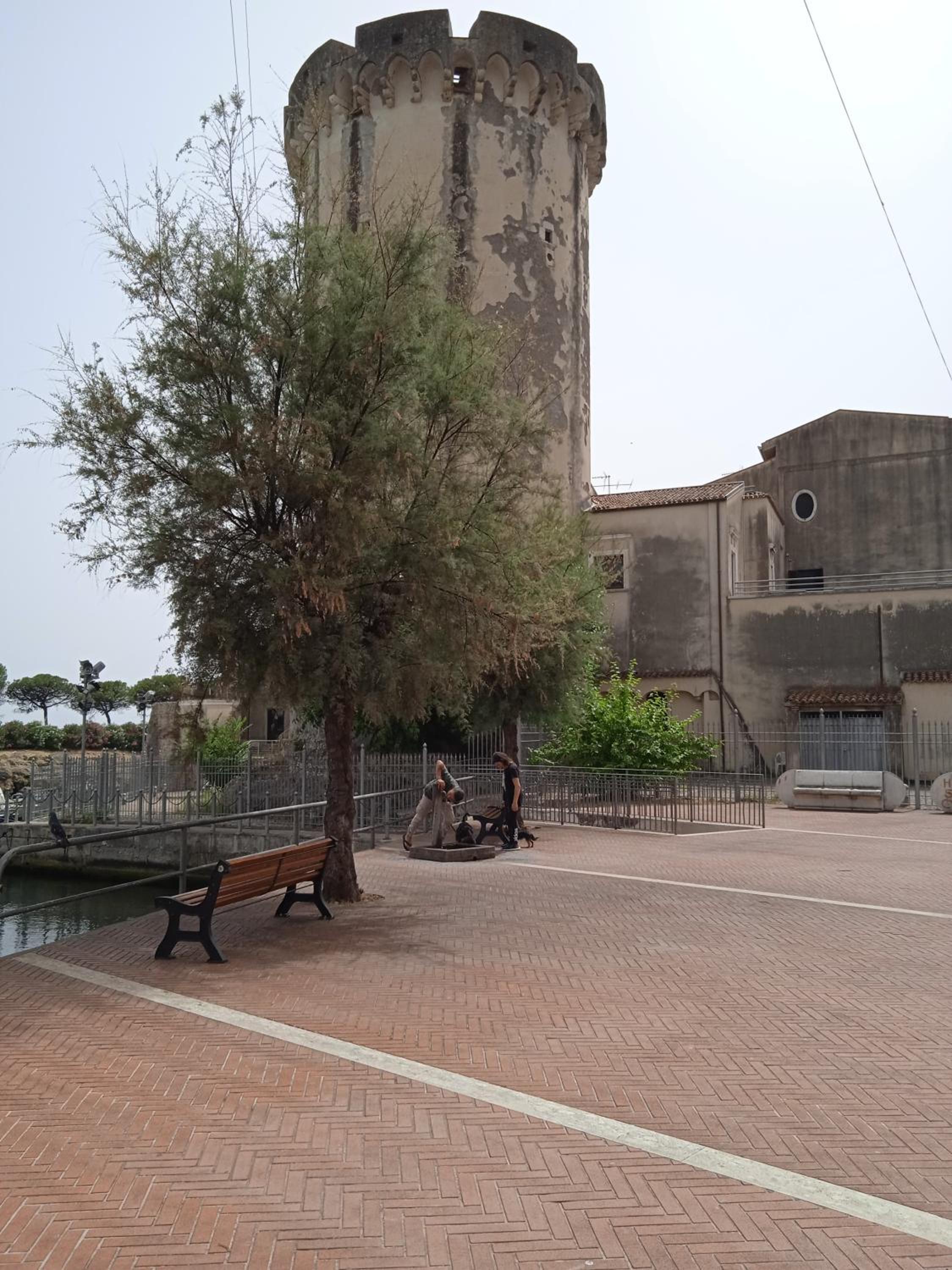 Photo 15