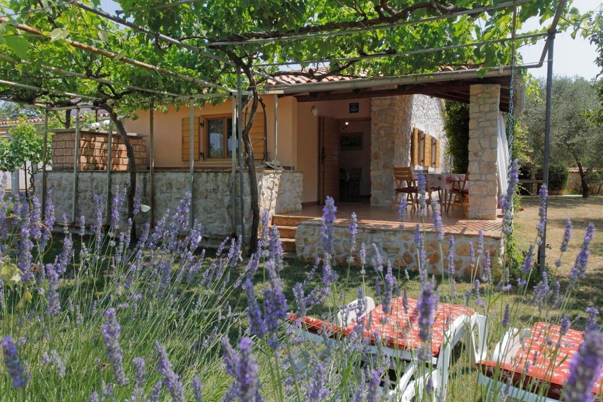 Ferienhaus Mit Schönem Garten Und Sonnenterrasse
