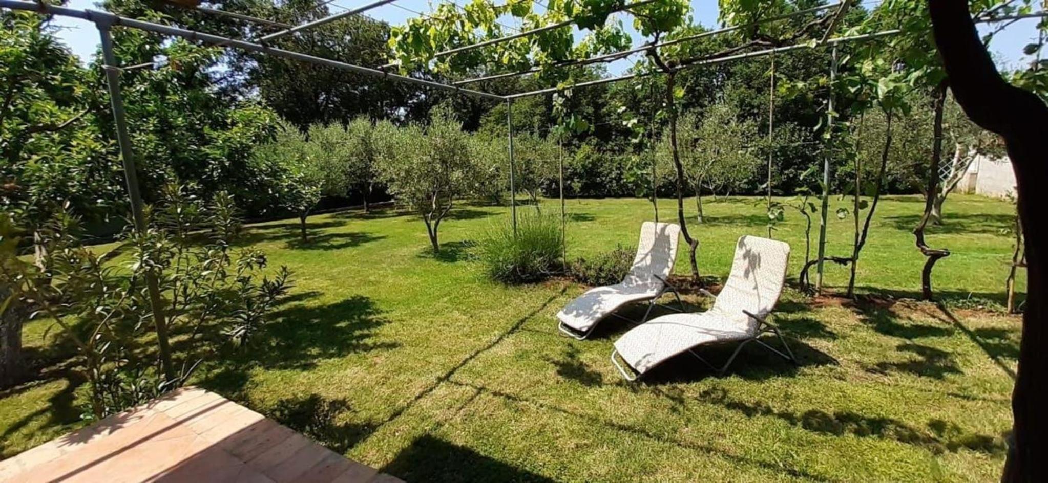 Ferienhaus Mit Schönem Garten Und Sonnenterrasse