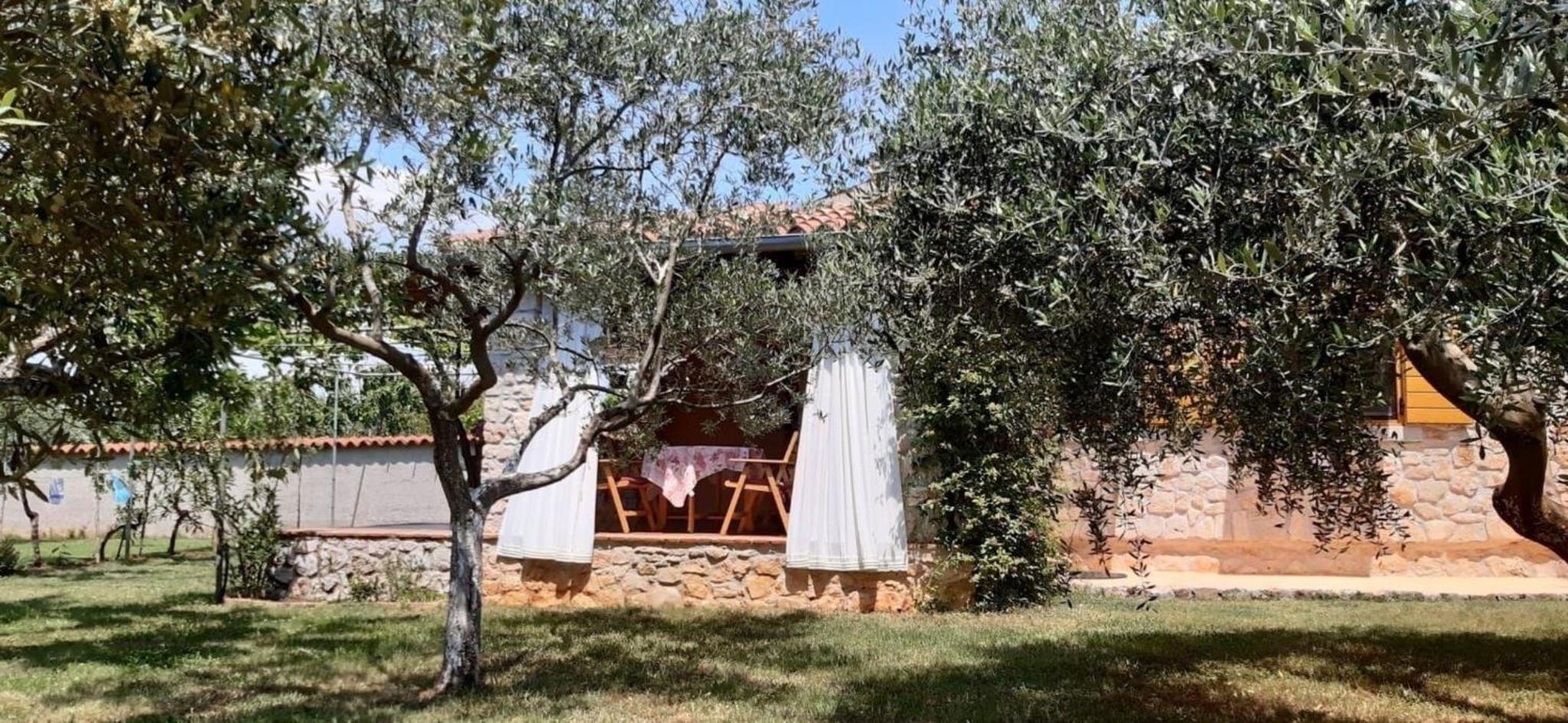 Ferienhaus Mit Schönem Garten Und Sonnenterrasse