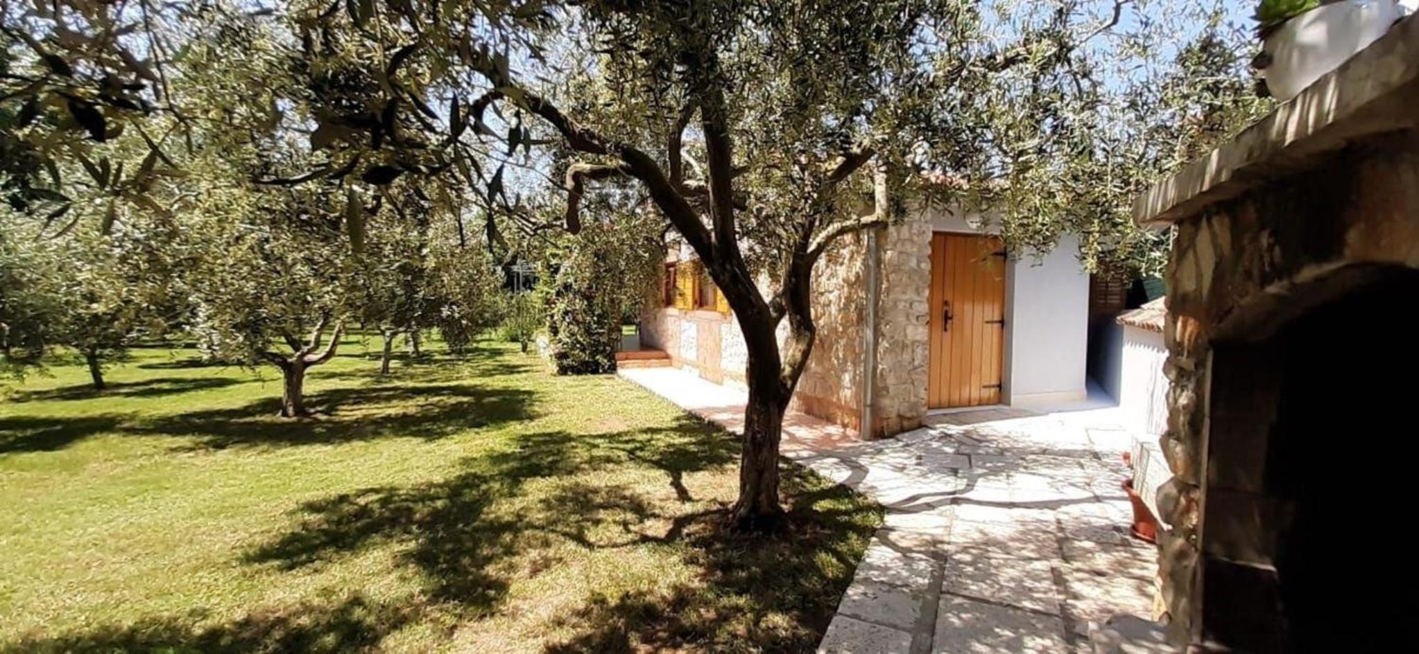 Ferienhaus Mit Schönem Garten Und Sonnenterrasse