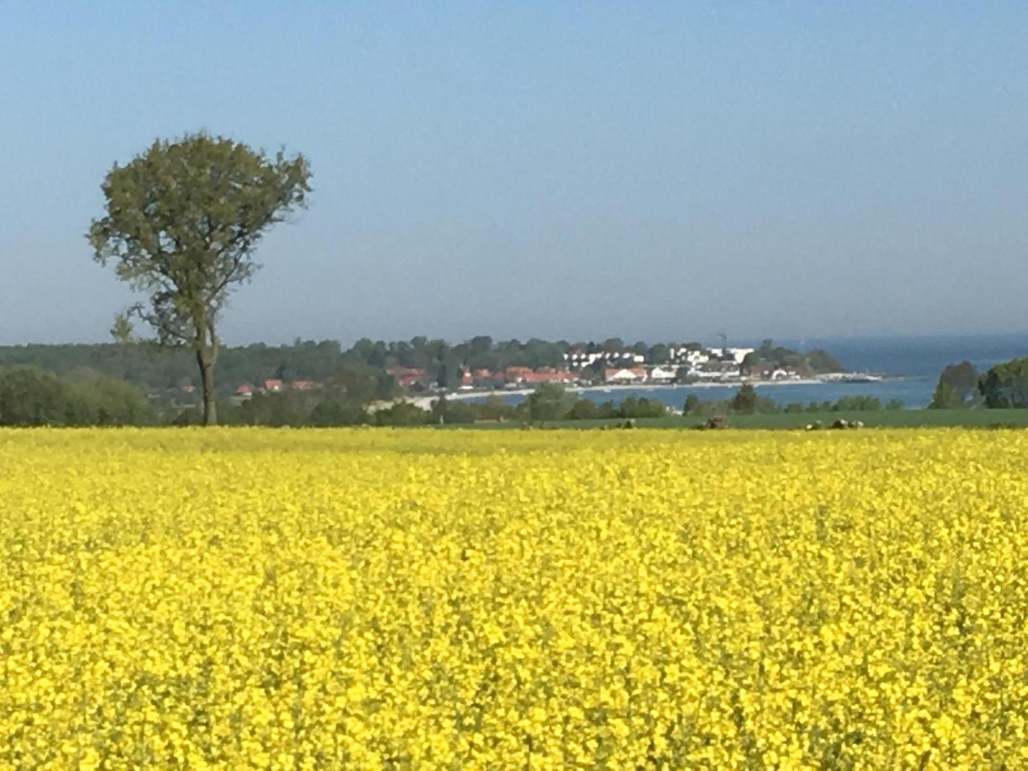 Hohes Ufer Ostseeluft