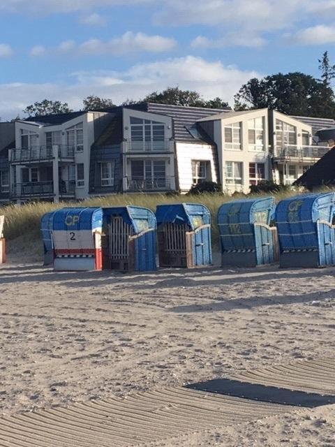 Skandinavienblick Strandläufer 2,6