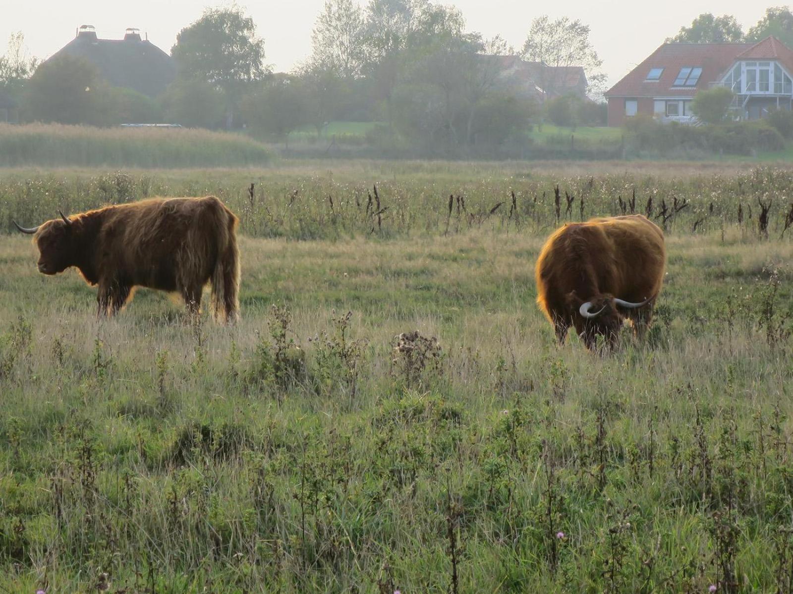 Ferienwohnung Ostseering
