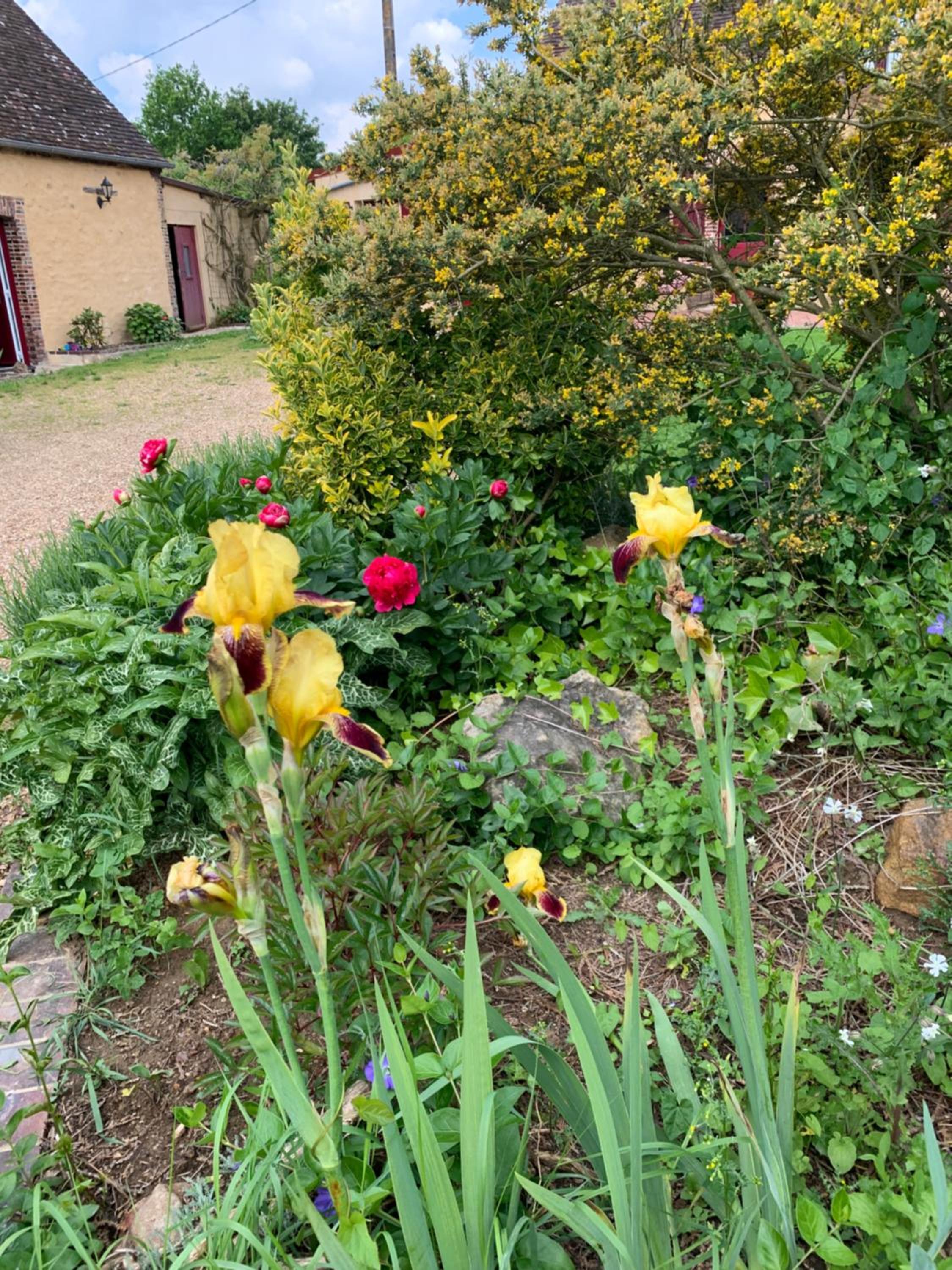 Photo 19