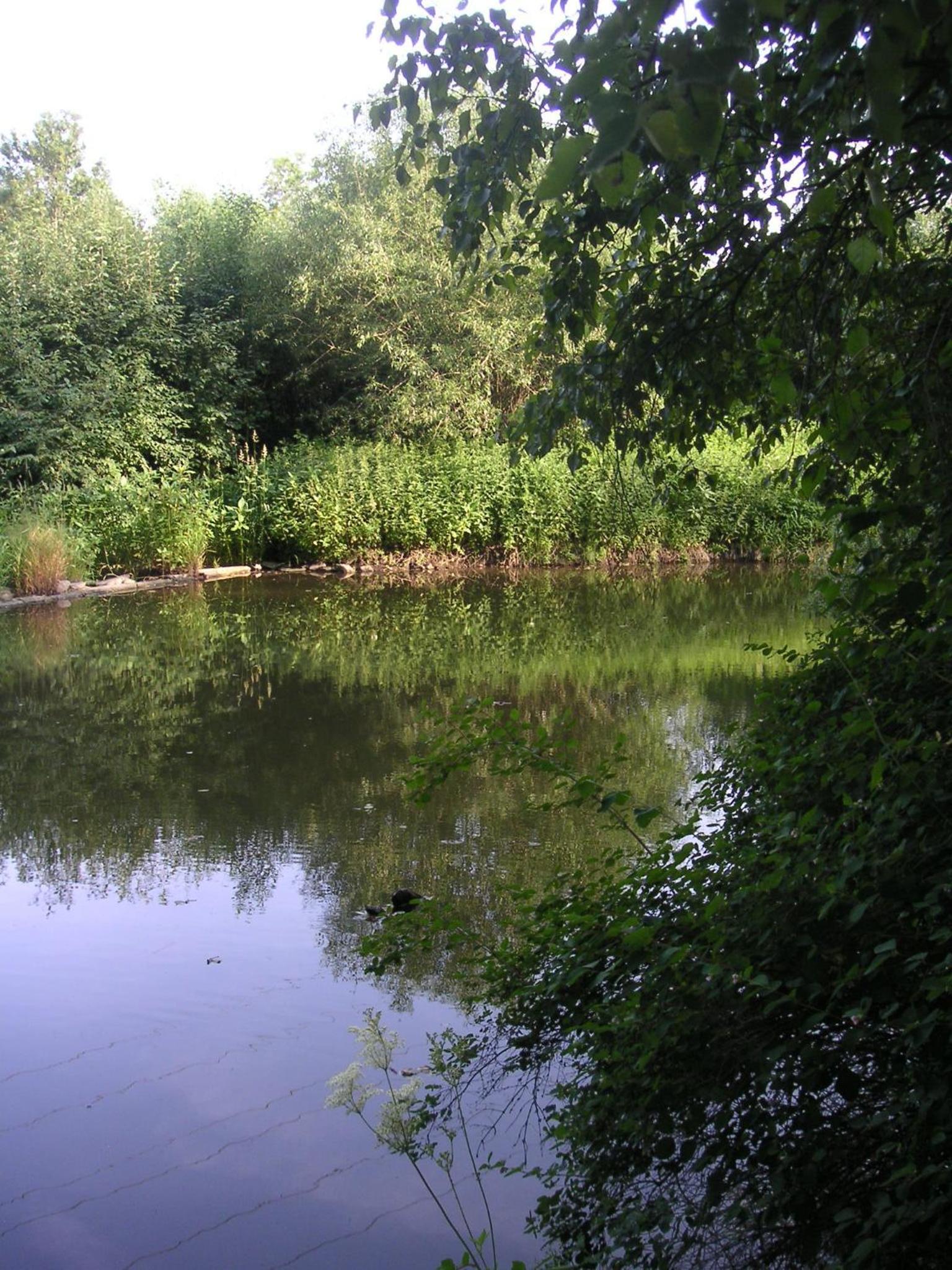 Photo 12