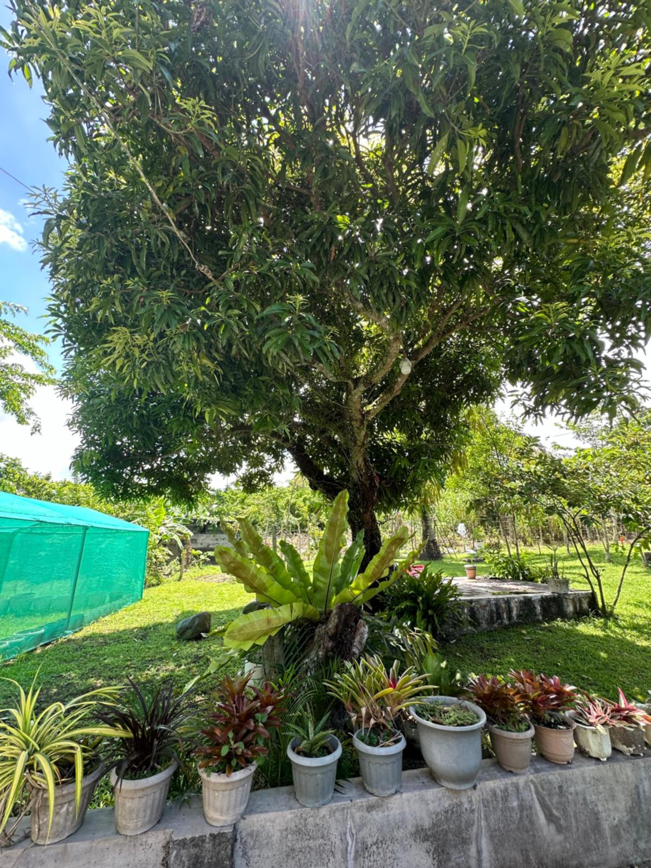 Vals Farm Guesthouse
