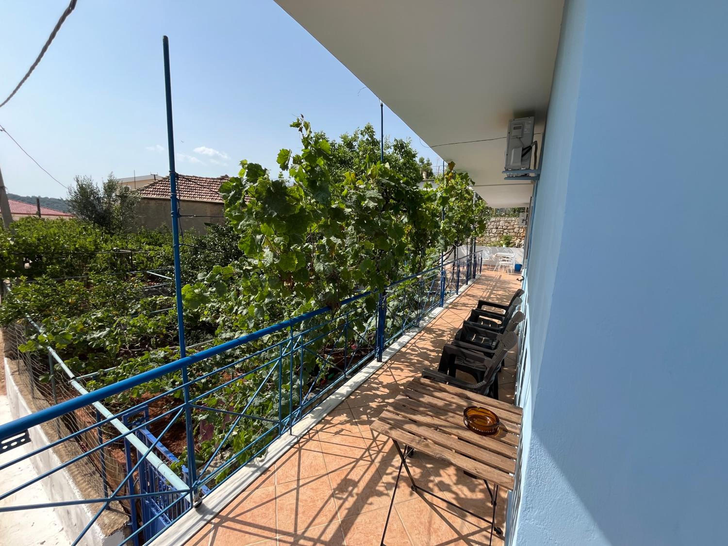 Dina House