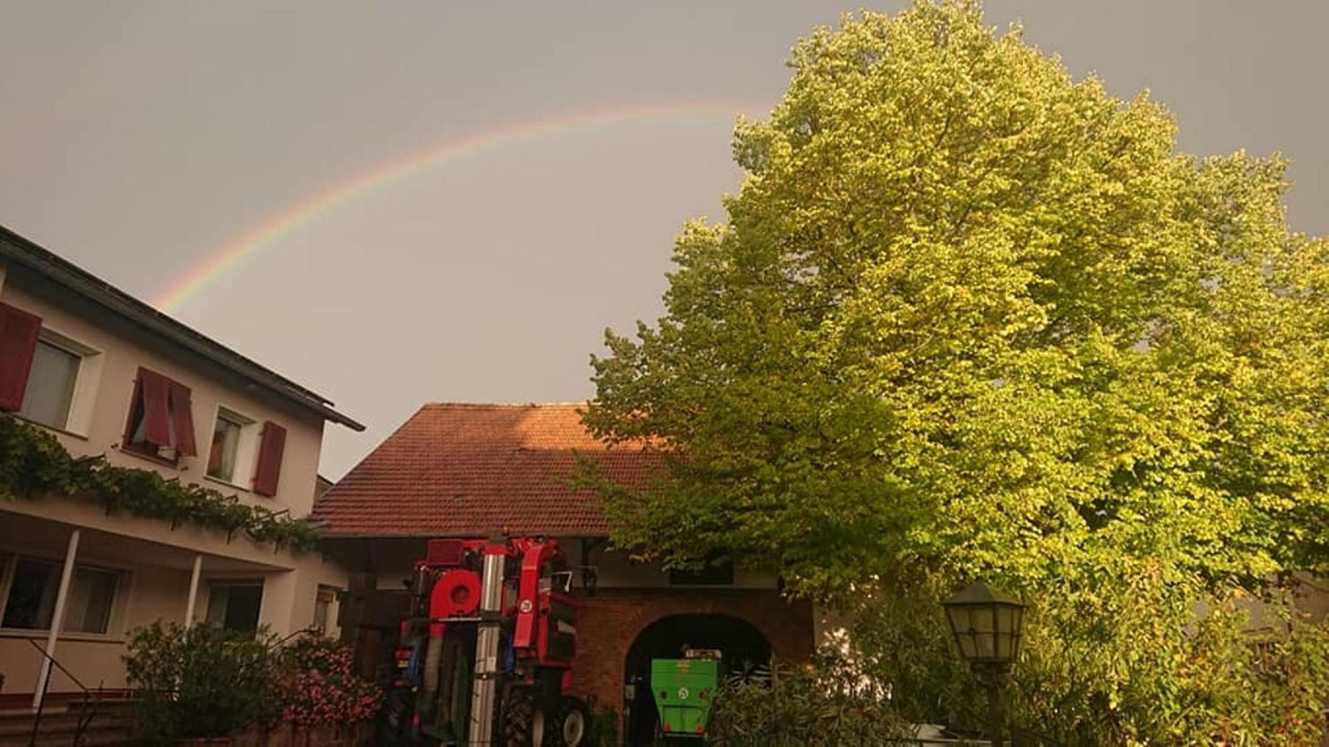 Ferienwohnung Weingut Kost