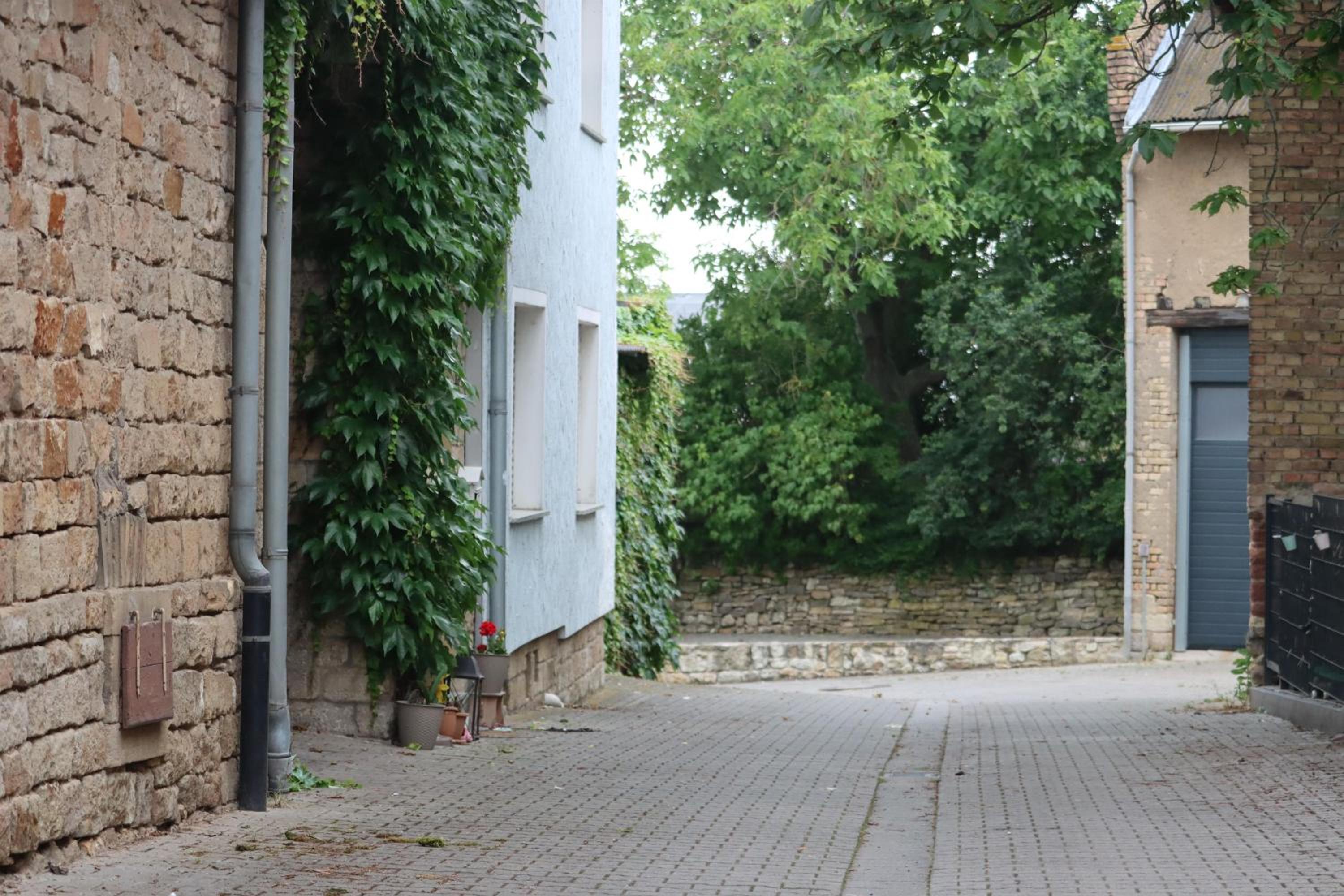 Ferienwohnung Weingut Kost
