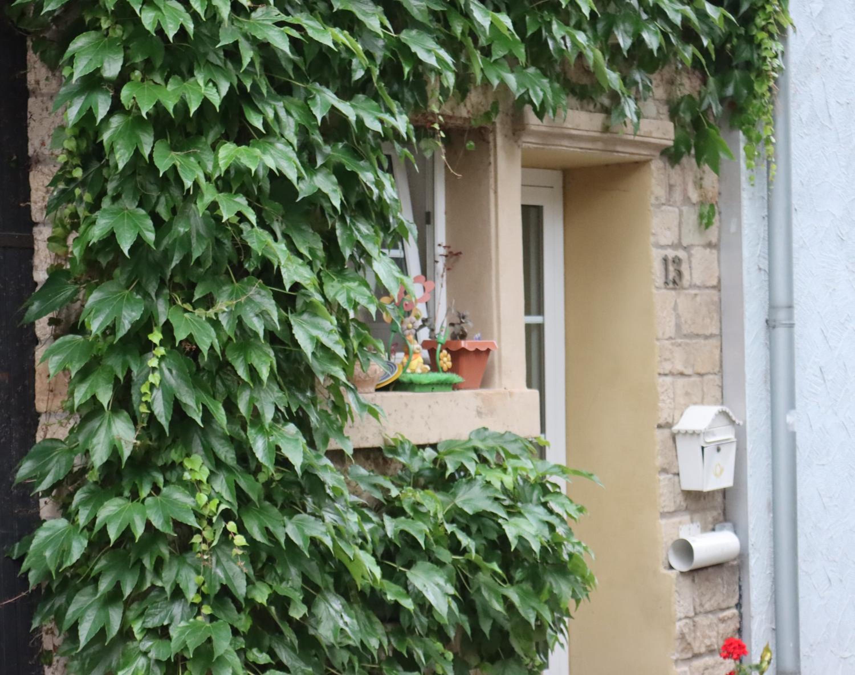 Ferienwohnung Weingut Kost