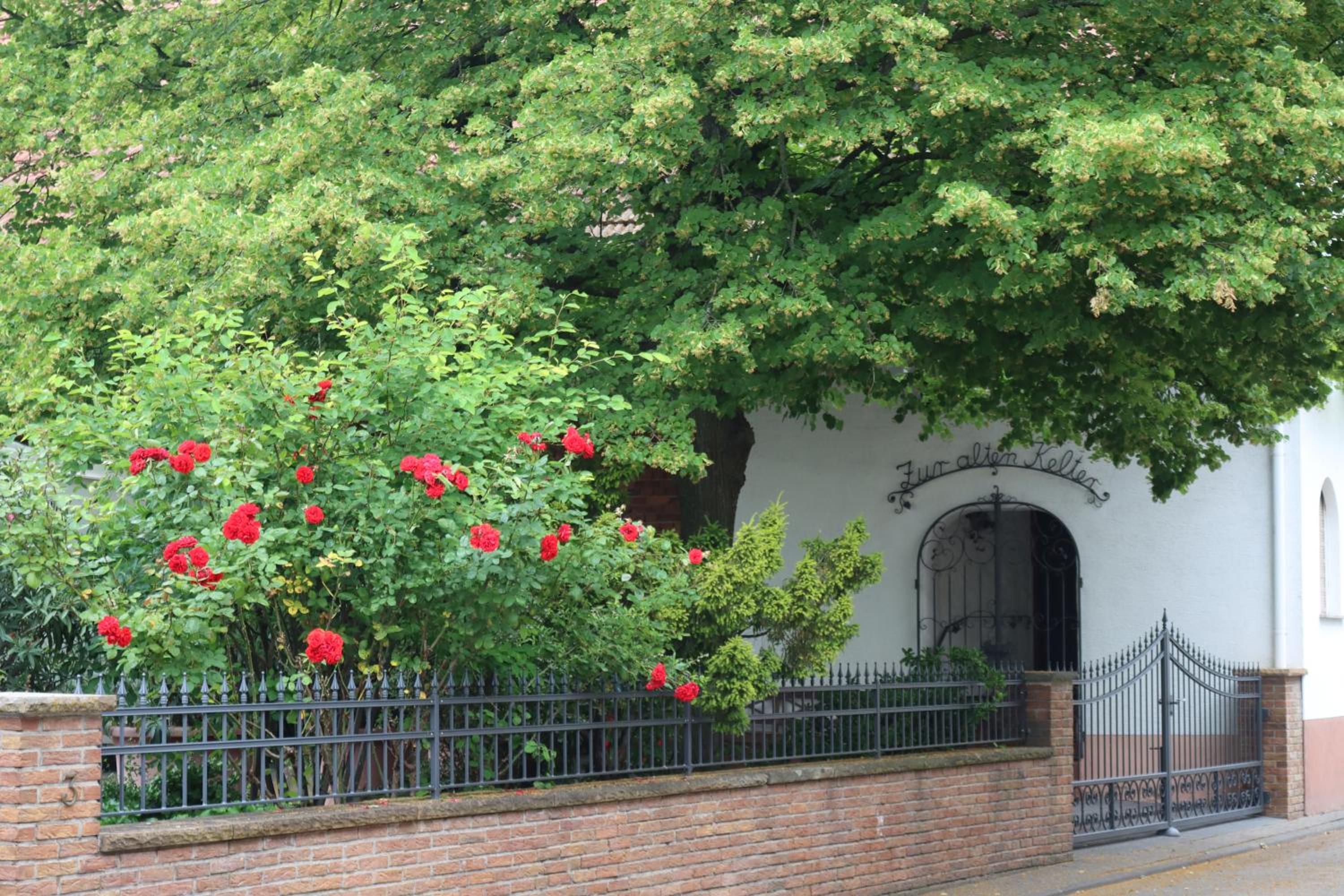 Ferienwohnung Weingut Kost