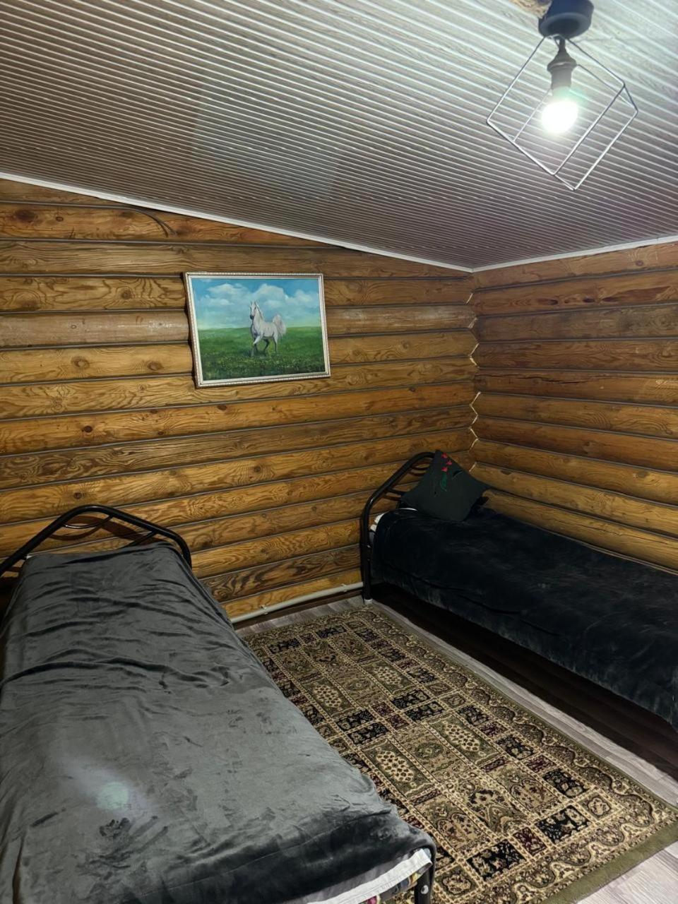 Kolsay Kazakh Village