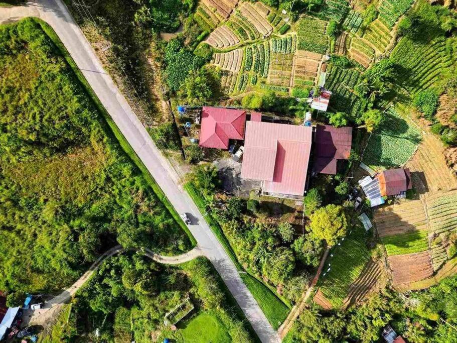 Kimin's Kinabalu Retreat photo 4