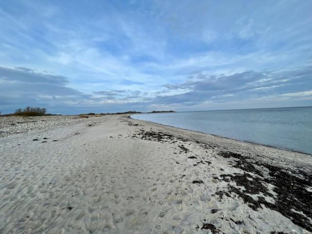 Strandgänger Hohwacht