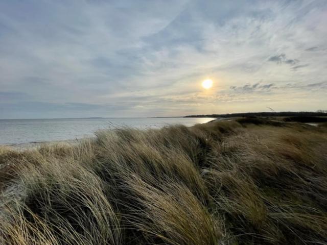 Strandgänger Hohwacht