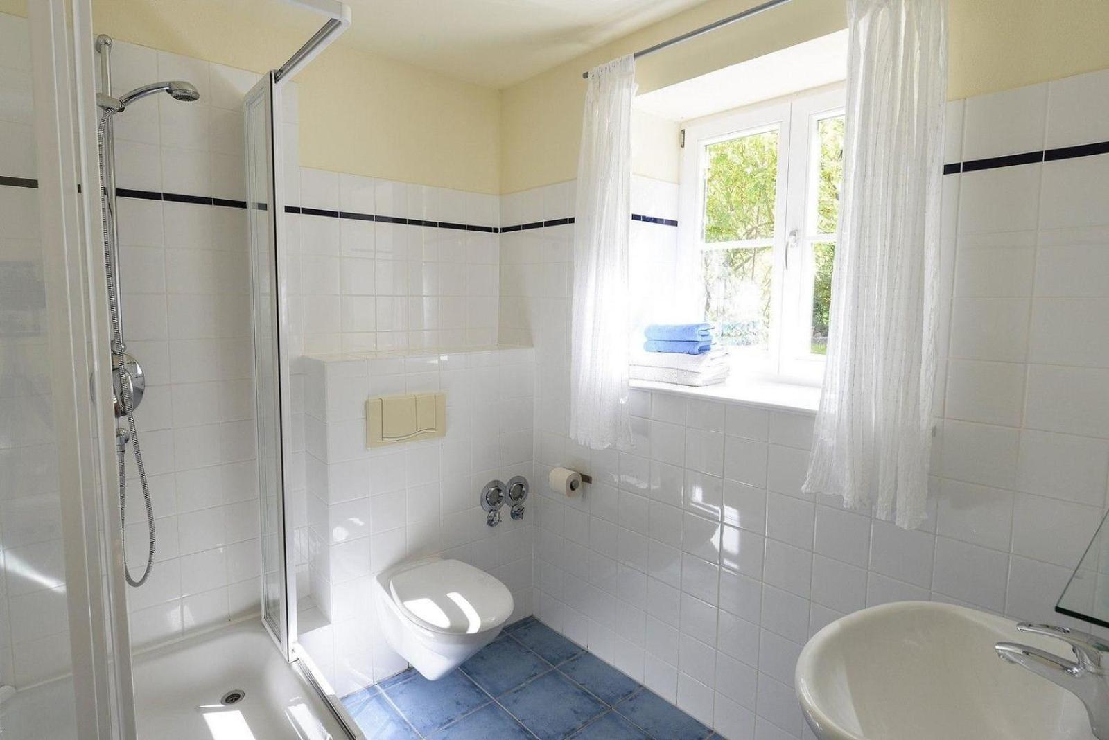 Wohnung Im Erdgeschoss Des Gutshauses