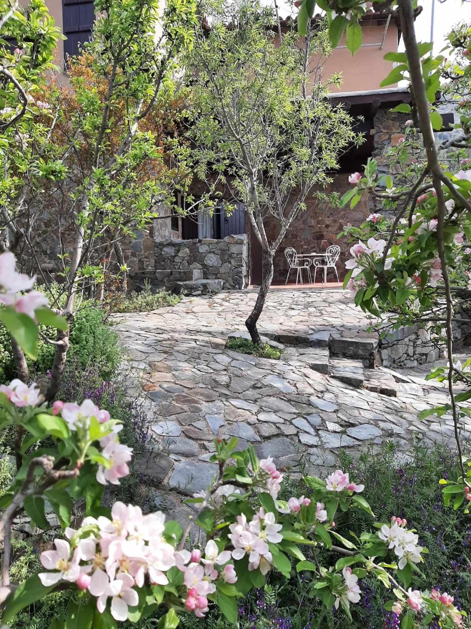FIKARDOU ALMOND PARK