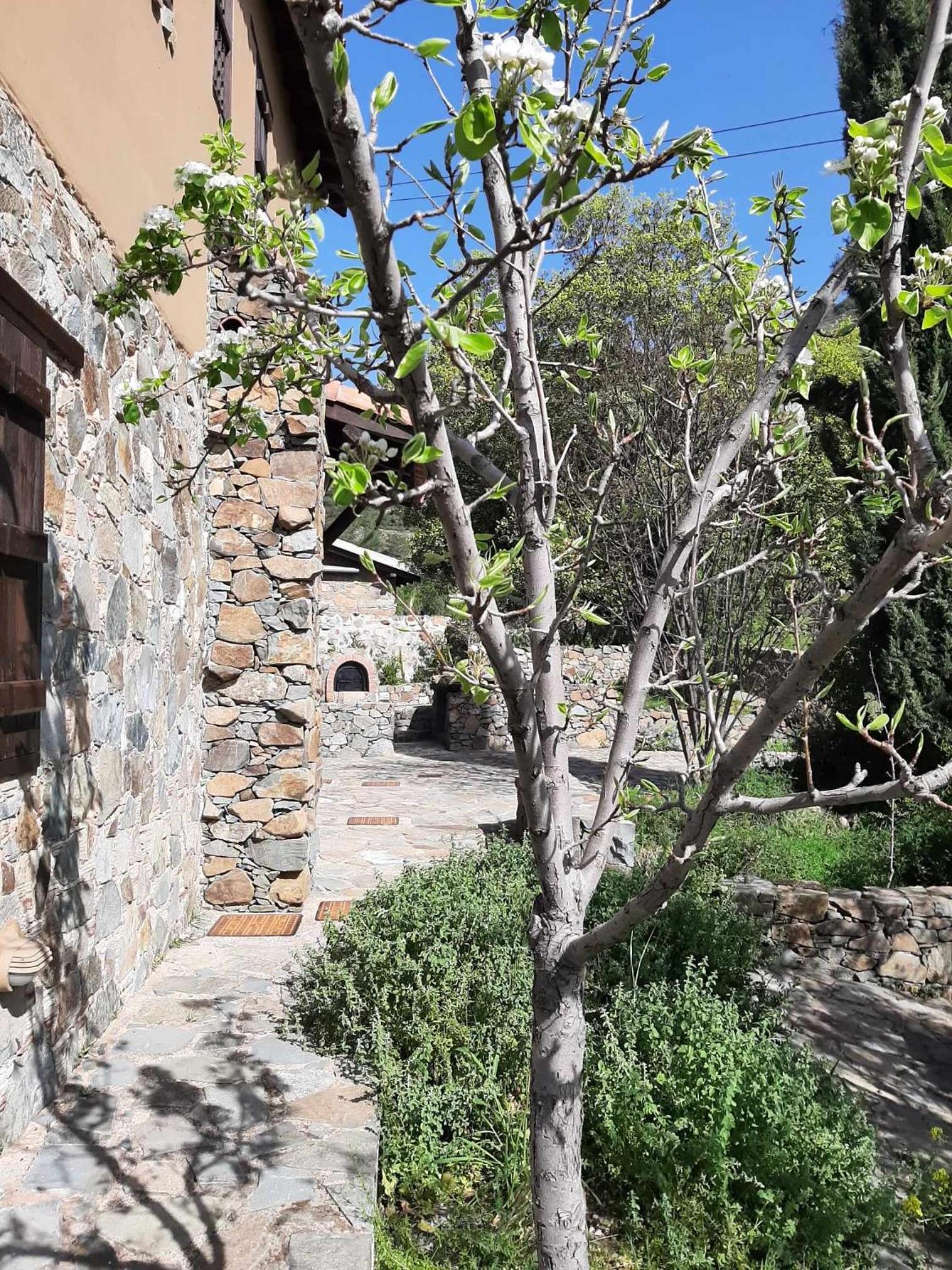 FIKARDOU ALMOND PARK