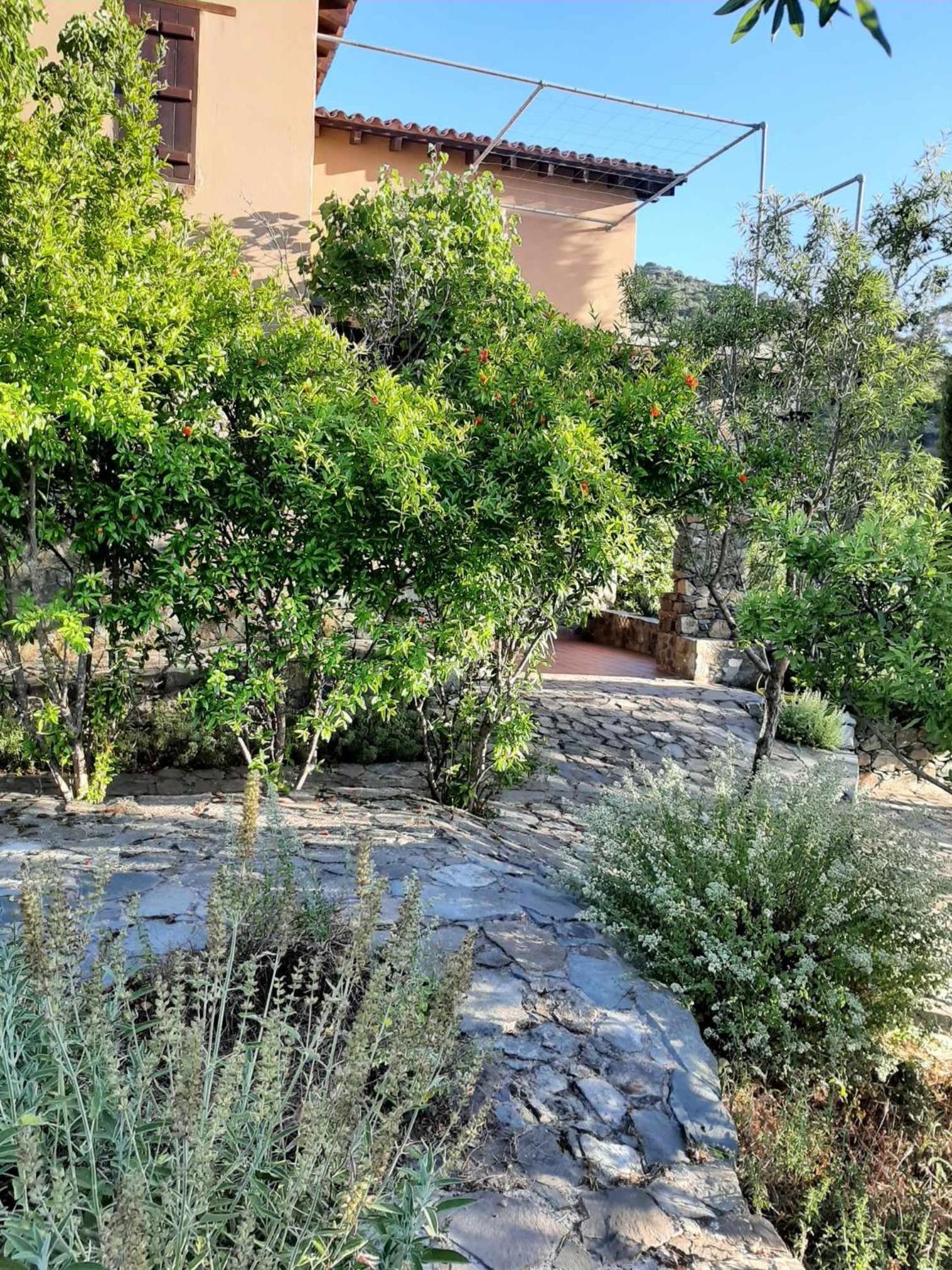 FIKARDOU ALMOND PARK