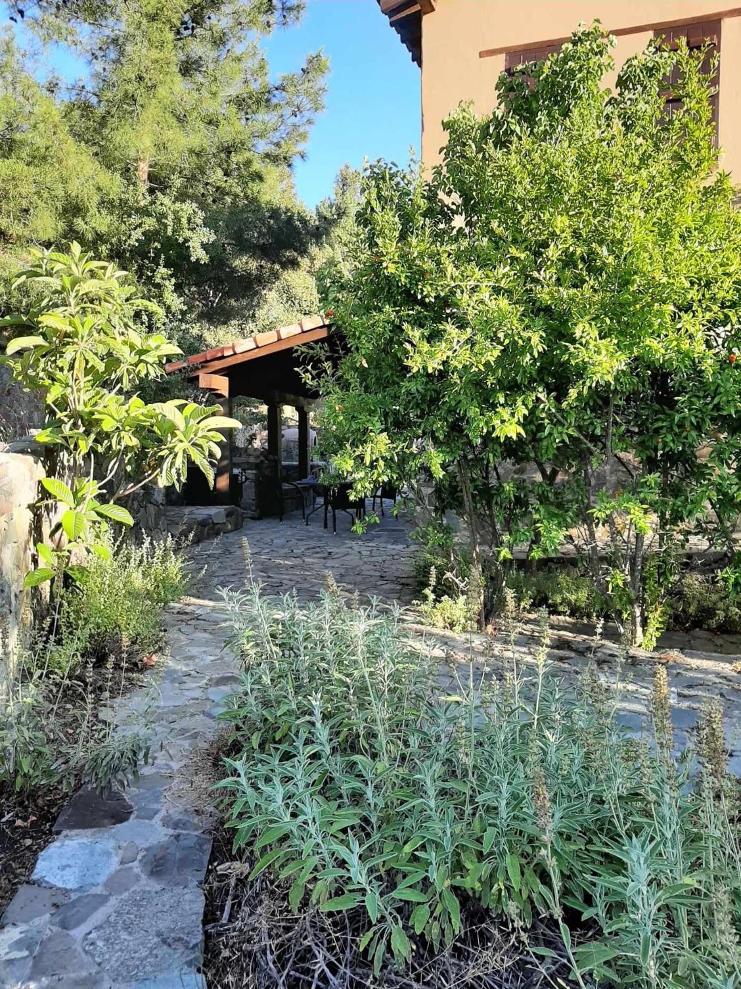FIKARDOU ALMOND PARK