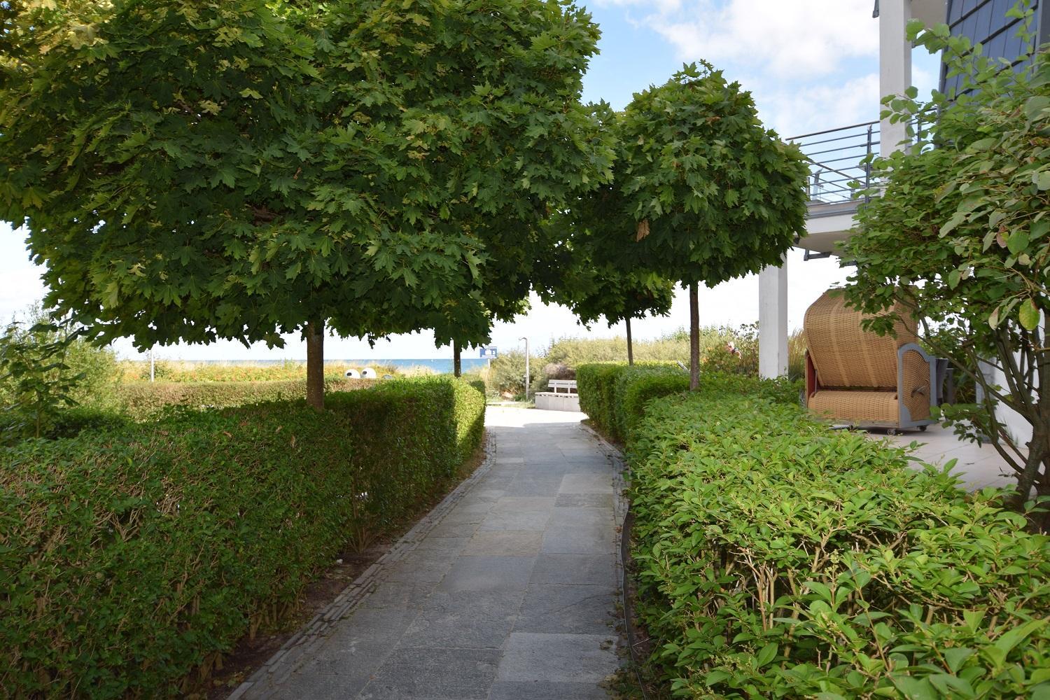 Skandinavienblick Weißdorn 1 7