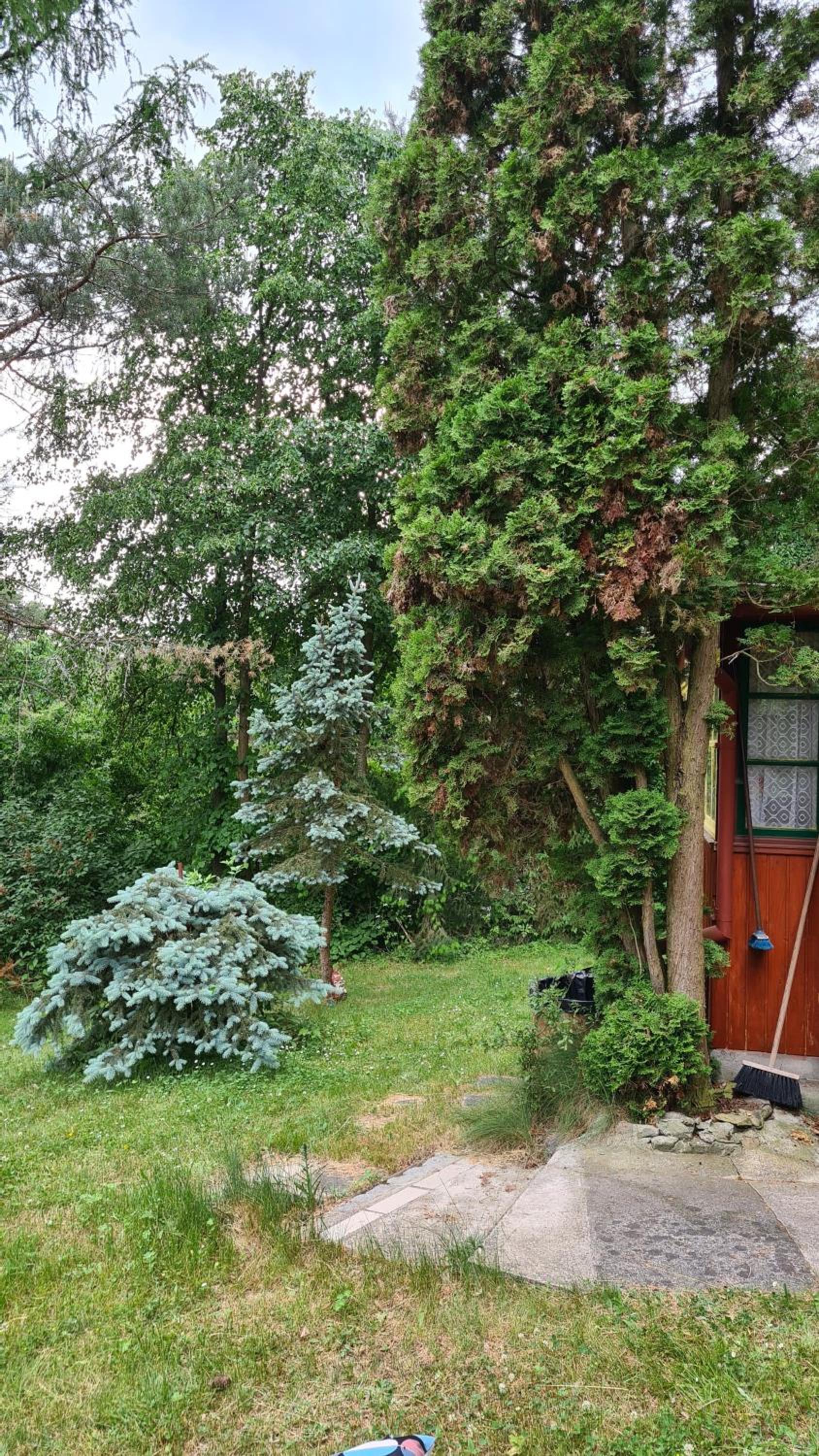 Lesní chata v Malé Hraštici, zážitek klidu v přírodě