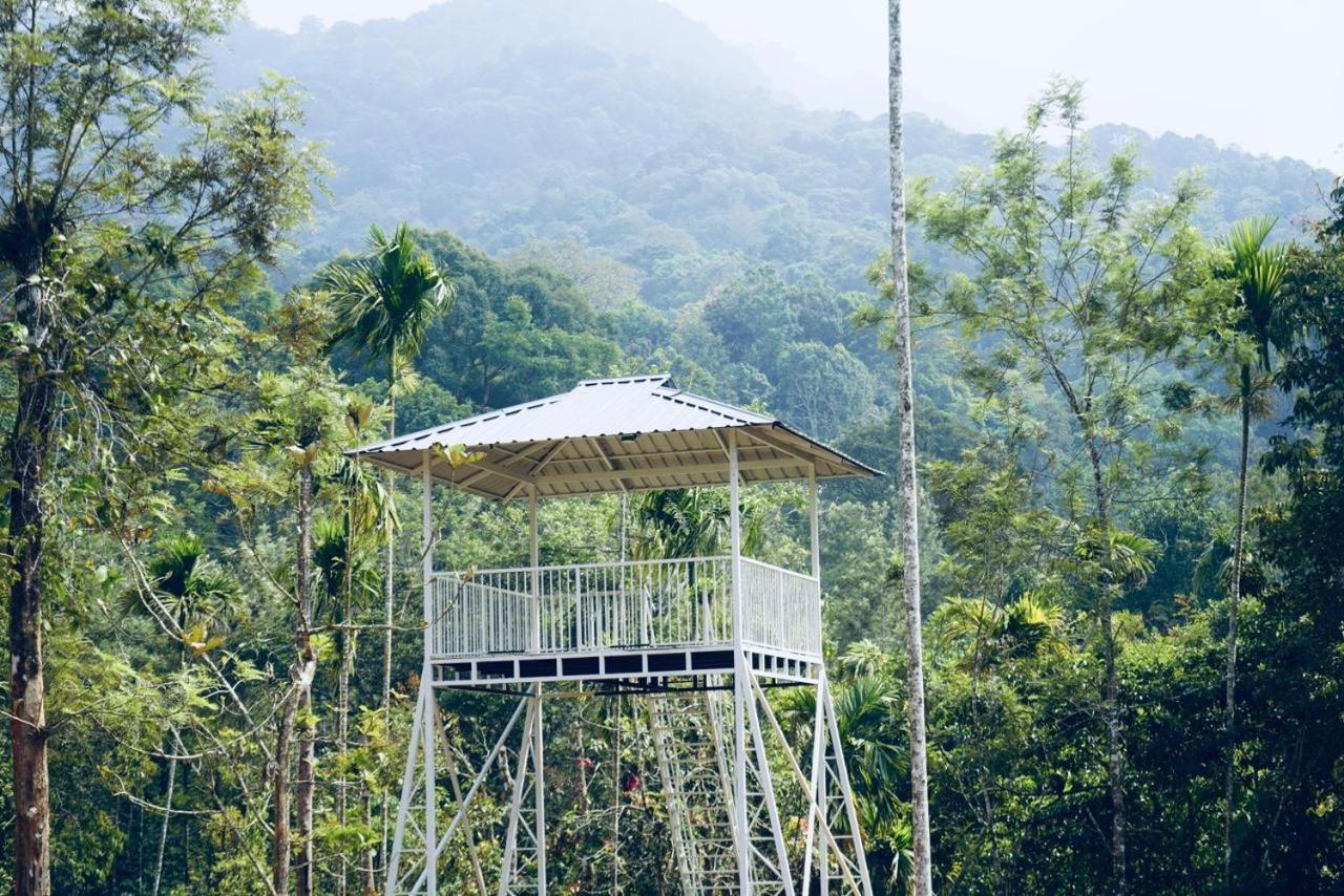 Vythiri Brooke Forest