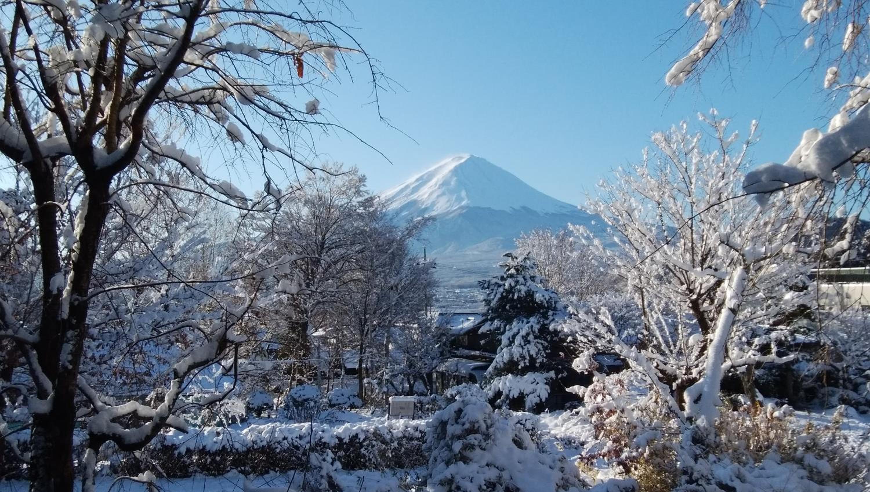 SunSunFujiyama