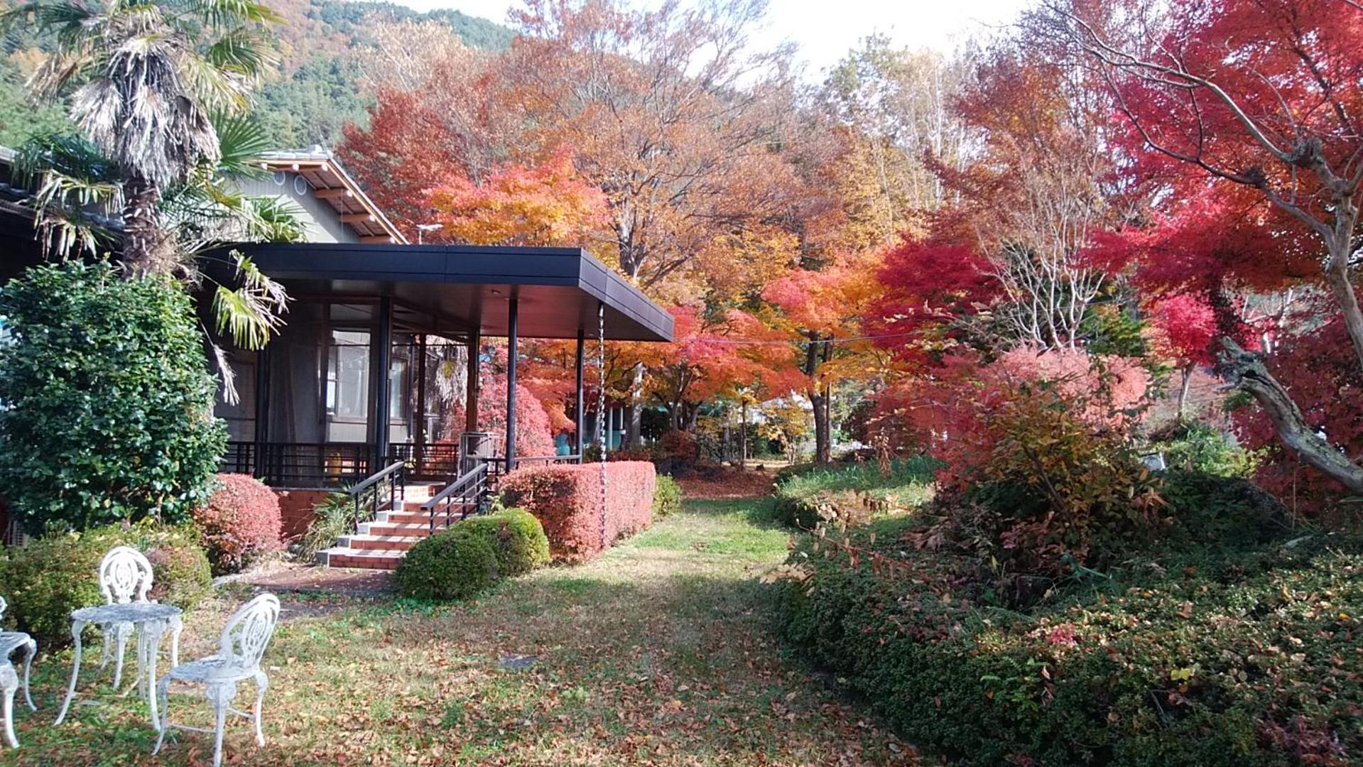 SunSunFujiyama