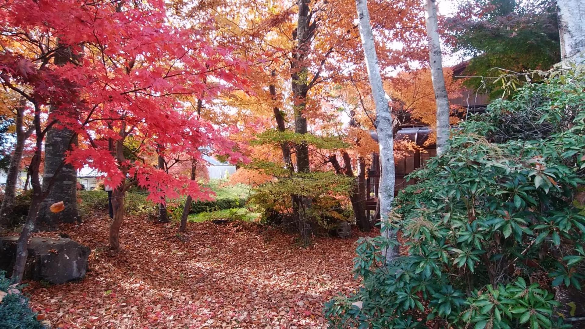 SunSunFujiyama