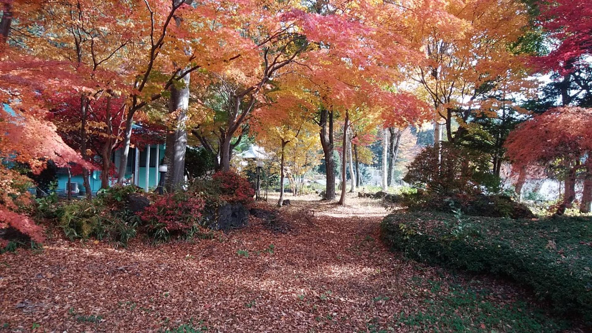 SunSunFujiyama