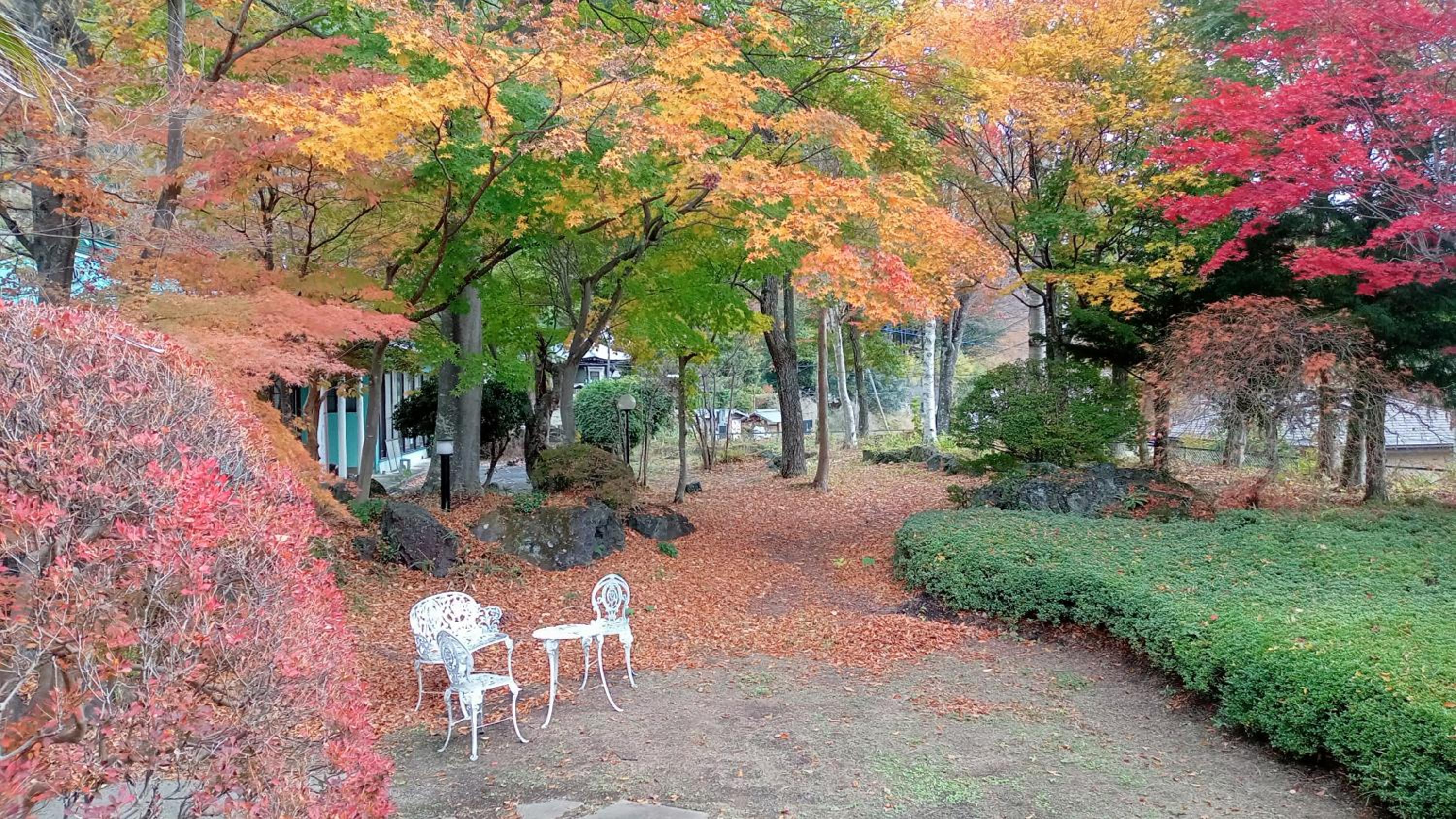 SunSunFujiyama