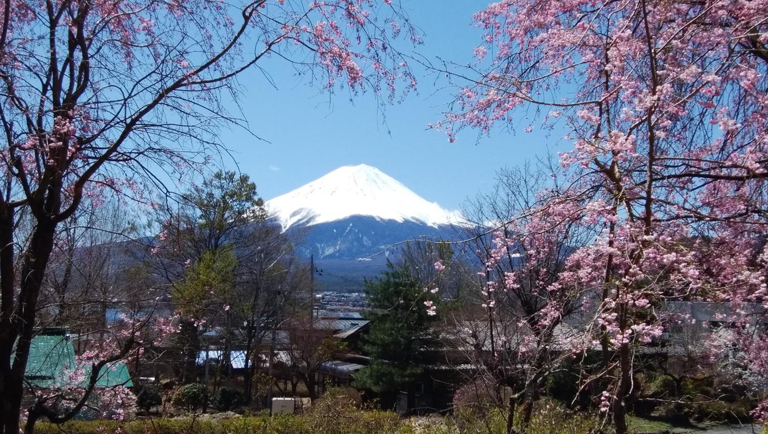 SunSunFujiyama