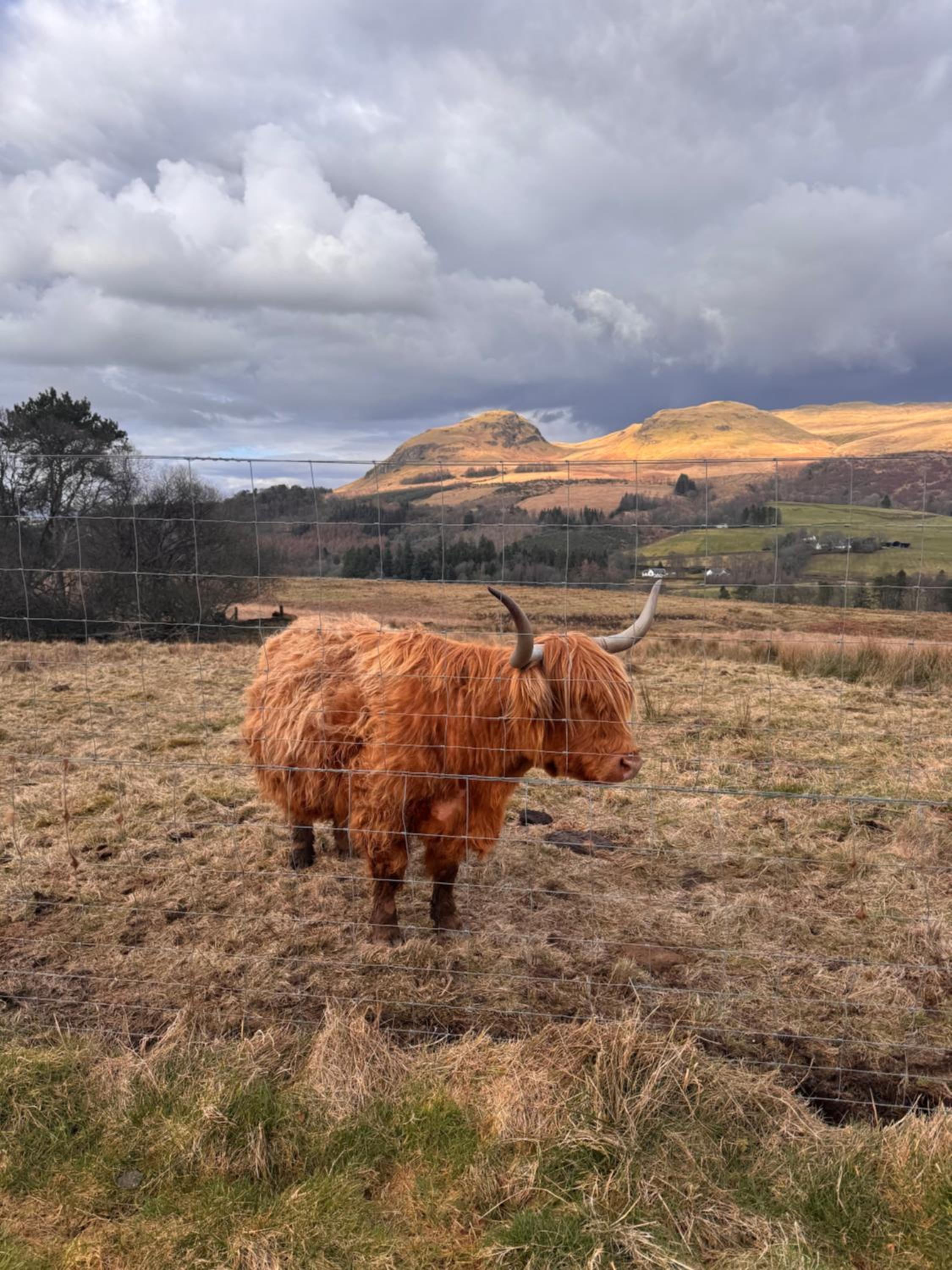 The West Highland Way Campsite & Campervan Accommodation - Image 2