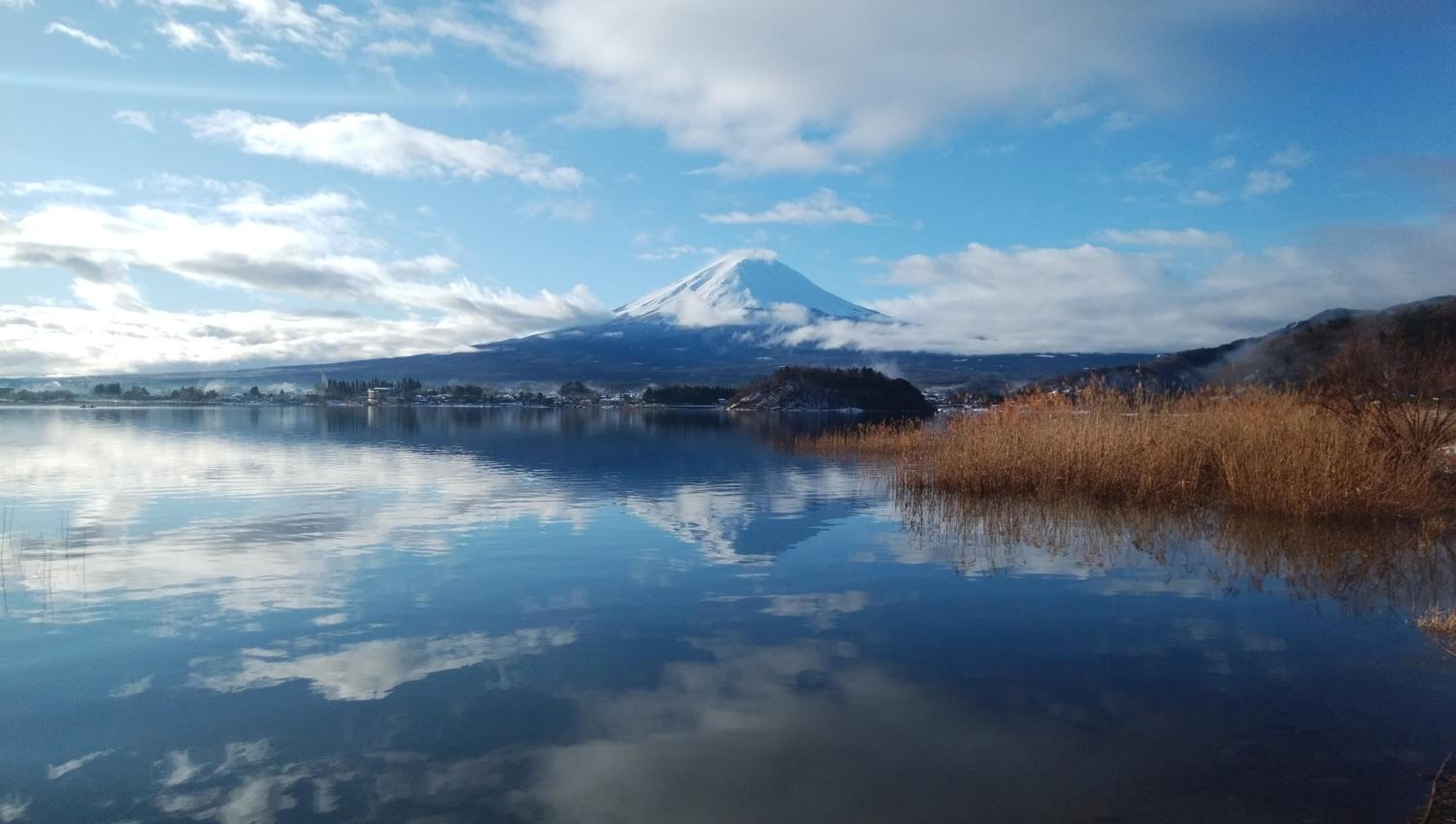 SunSunFujiyama