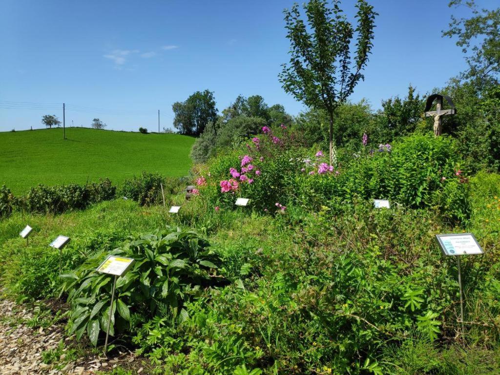 Ferienwohnung AllgäuGlück im Ferienpark Oberallgäu mit Hallenbad, Sauna, WLAN