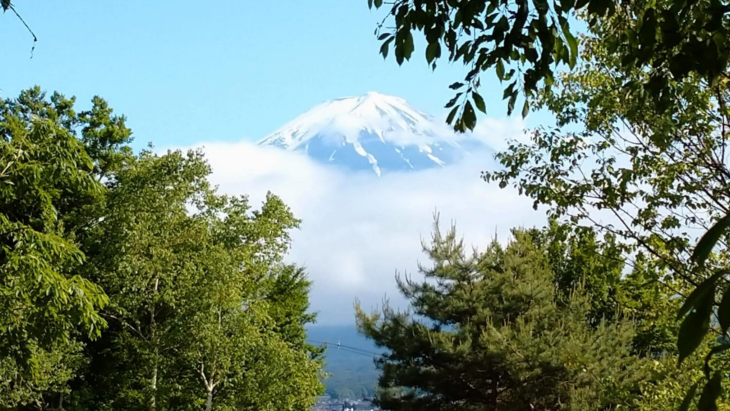 SunSunFujiyama
